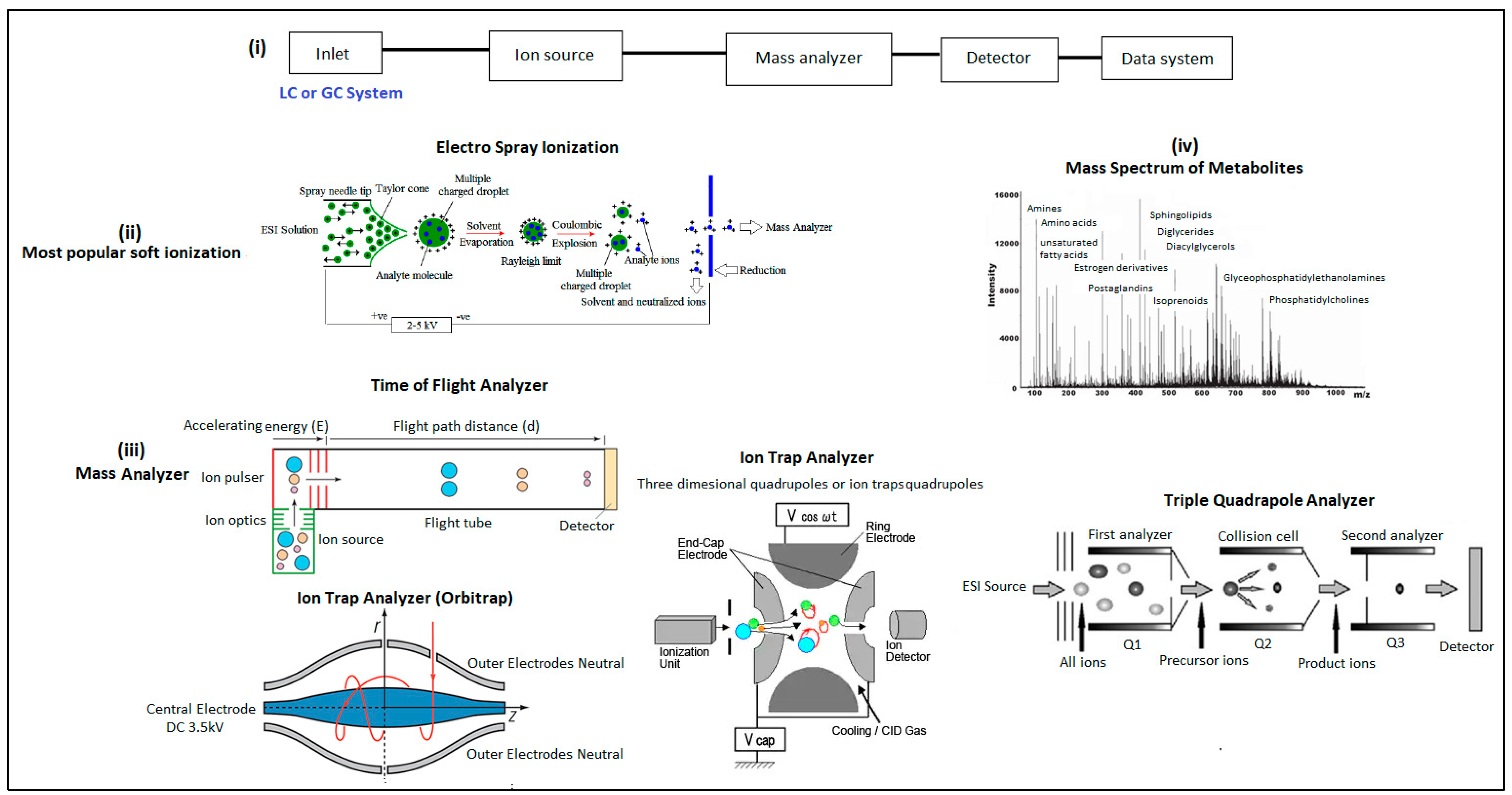 Metabolites 13 01203 g005