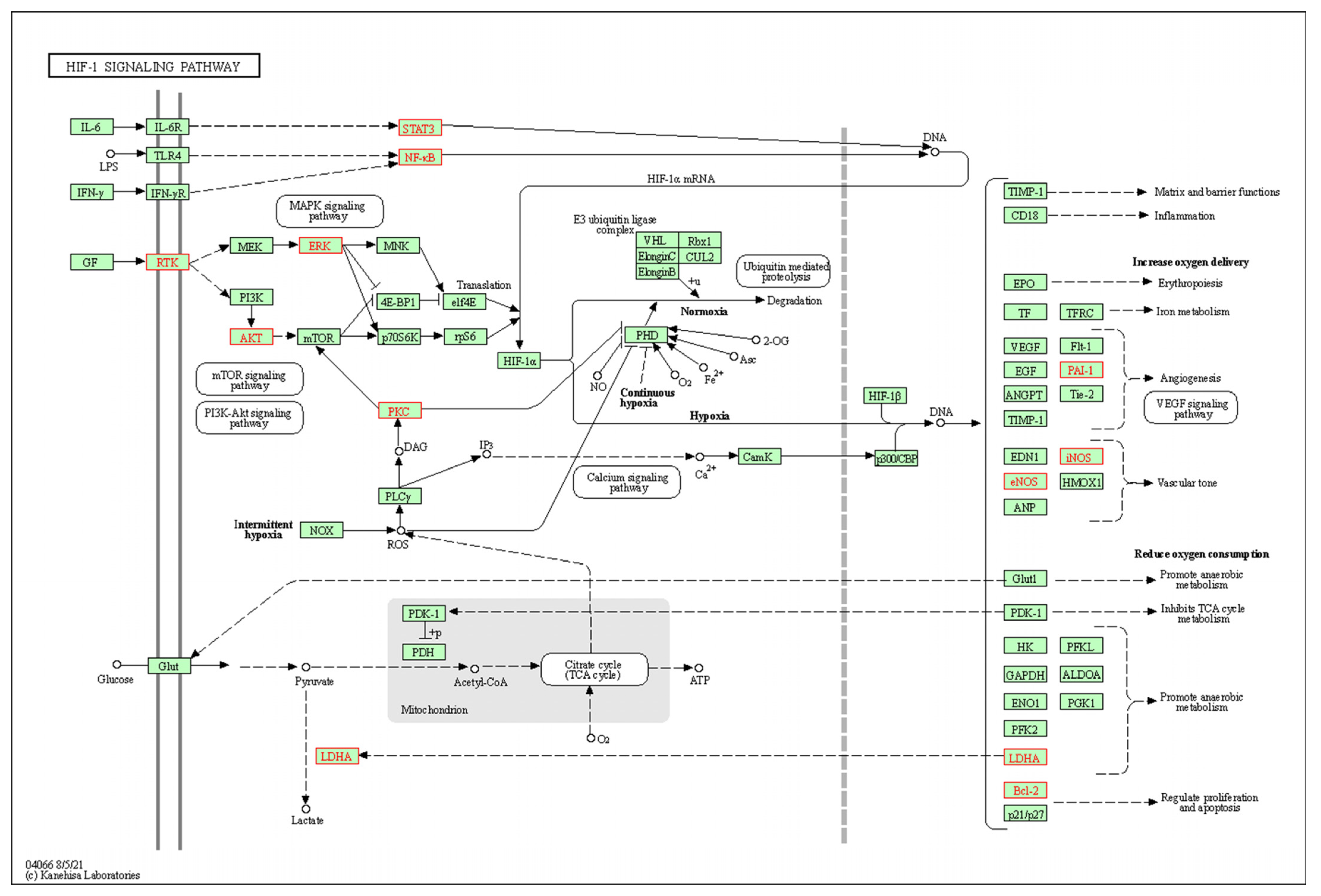 Metabolites 14 00001 g003