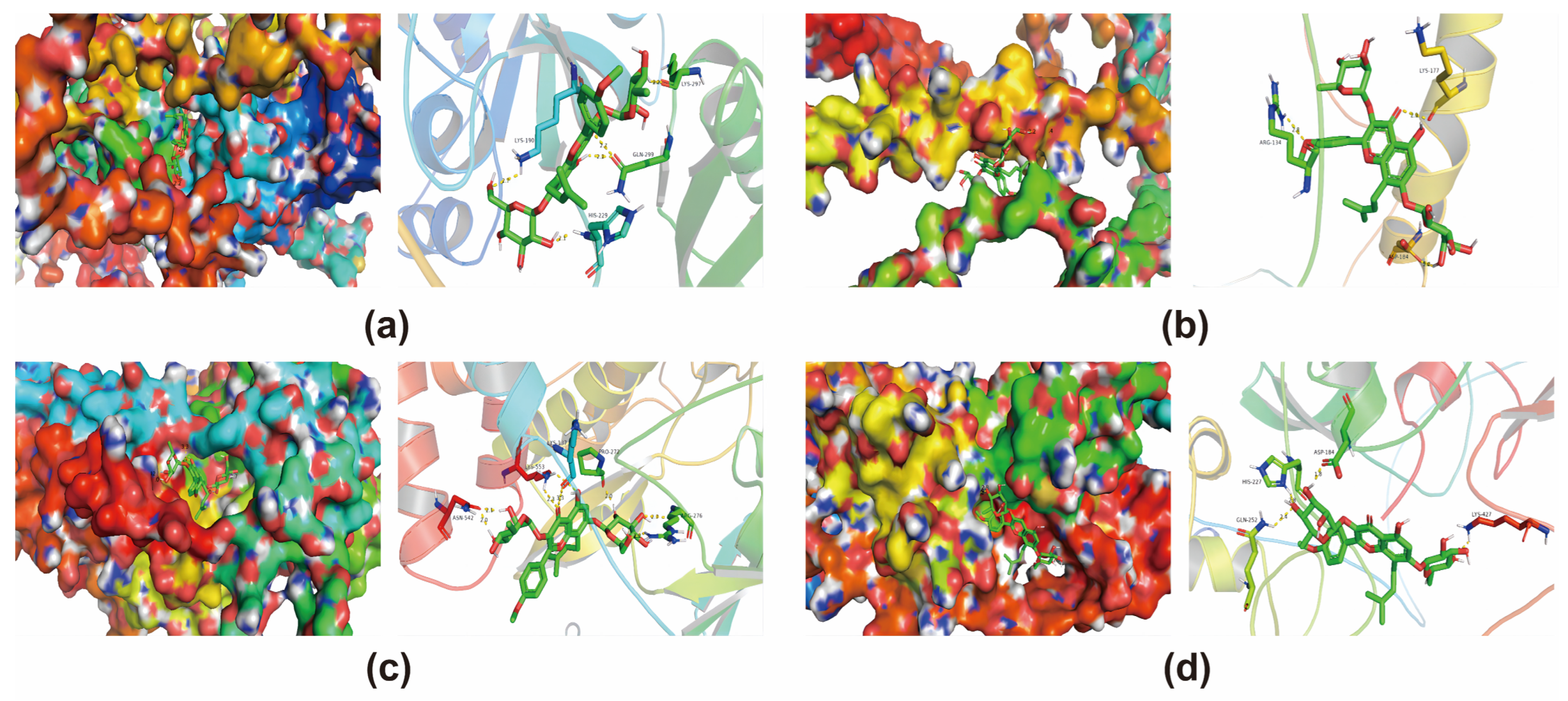 Metabolites 14 00001 g004