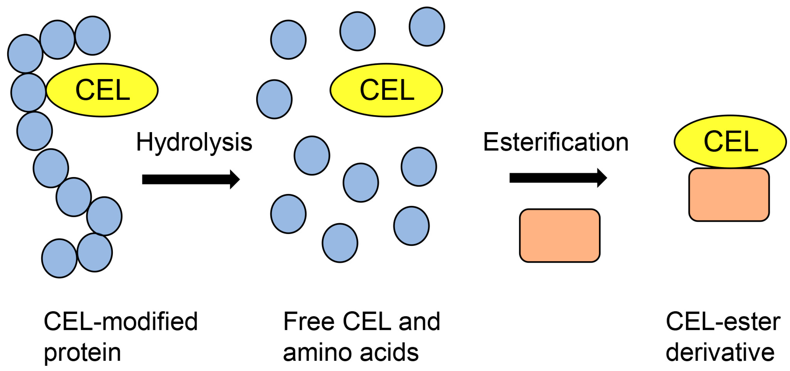 Metabolites 14 00003 g001