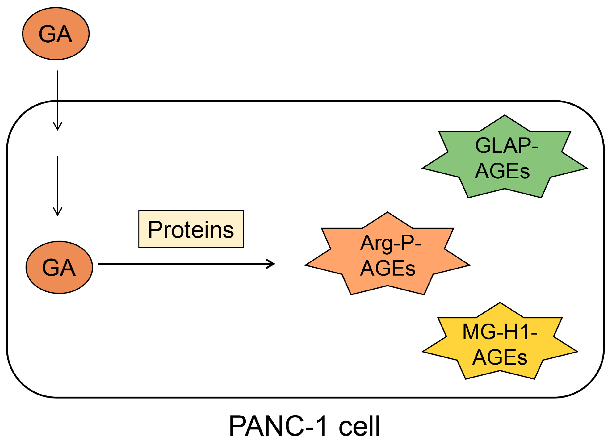 Metabolites 14 00003 g005