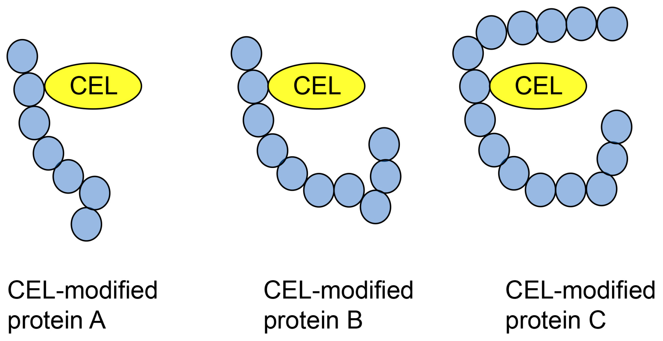 Metabolites 14 00003 g008