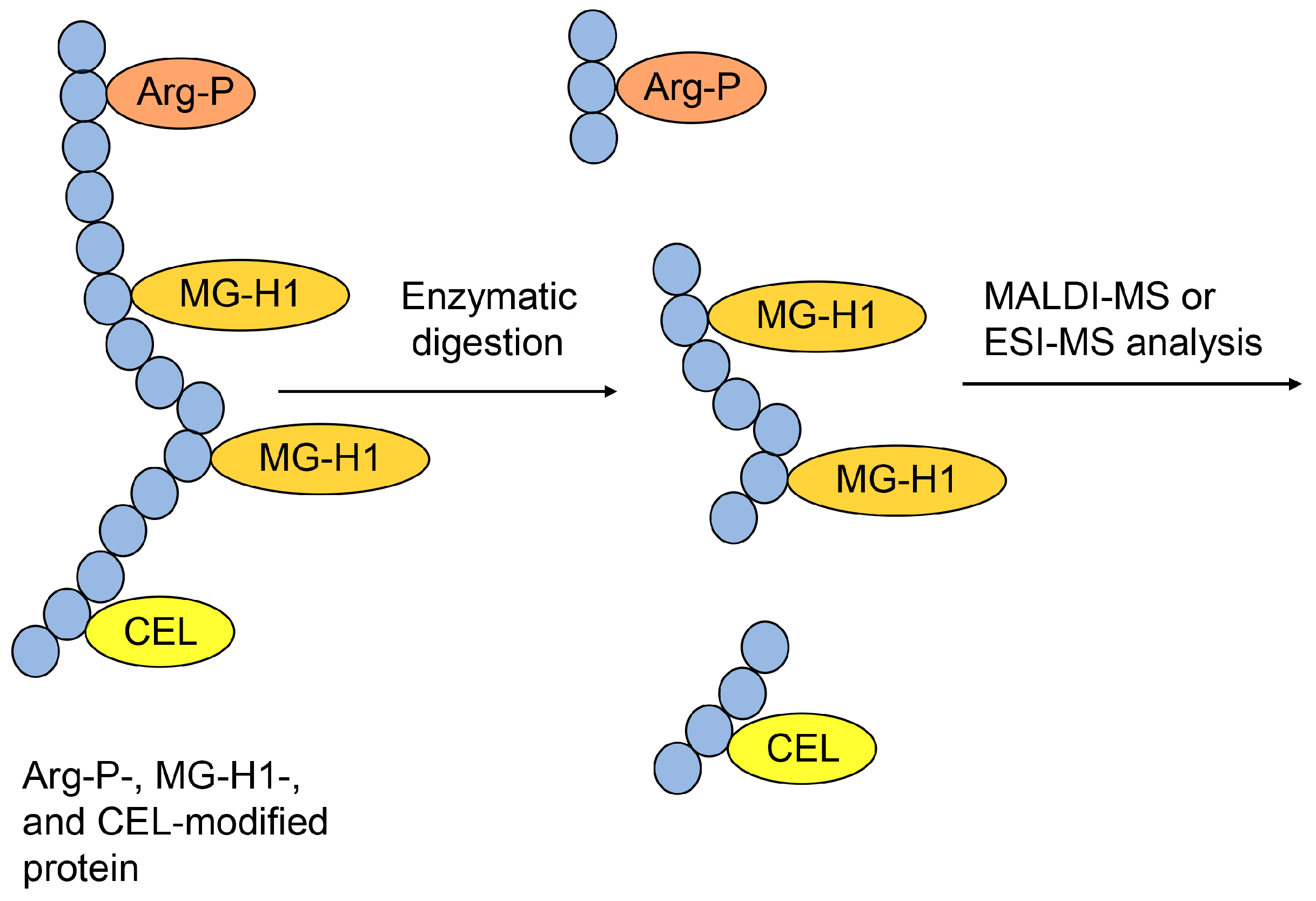 Metabolites 14 00003 g009