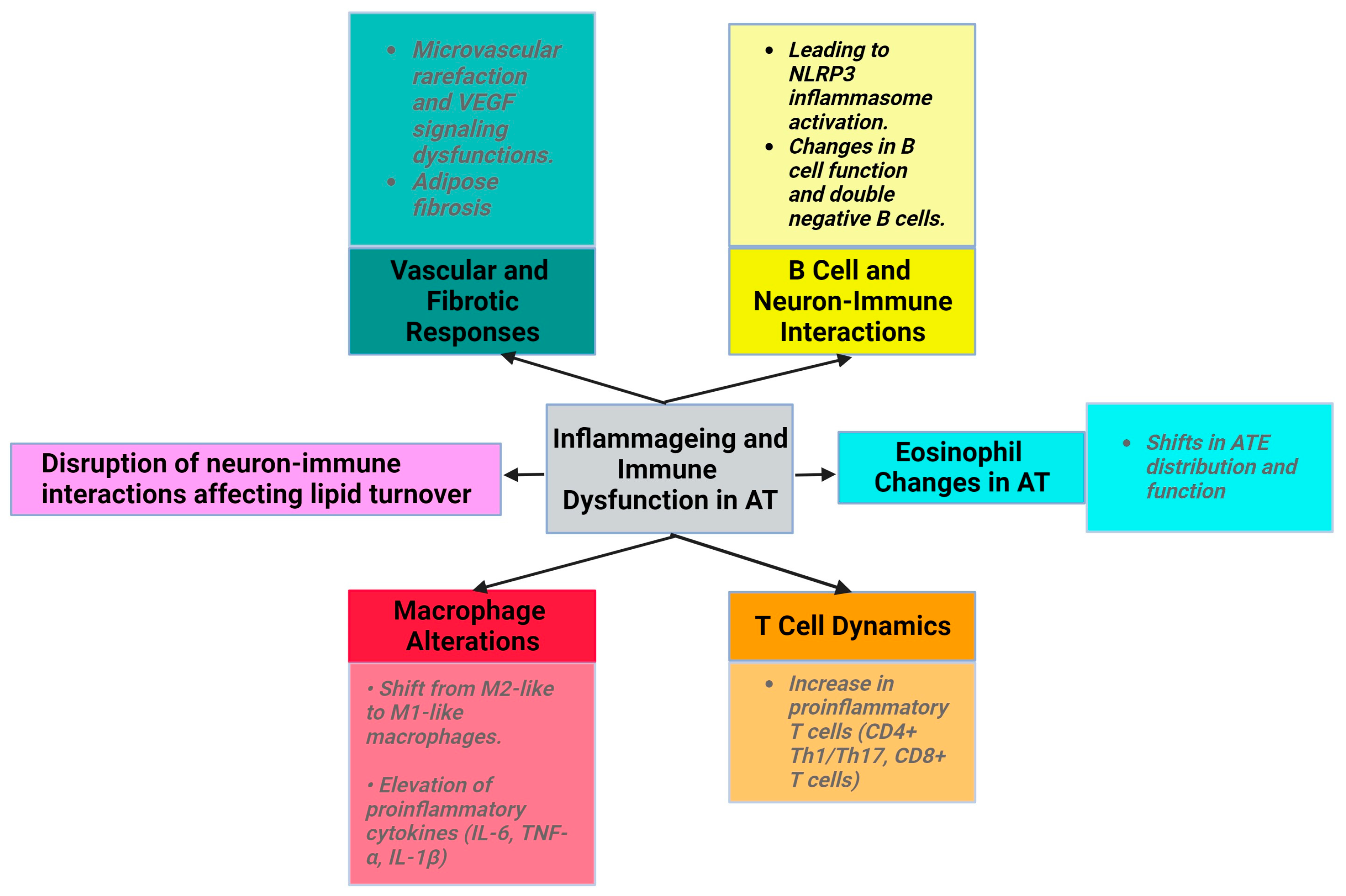 Metabolites 14 00004 g001