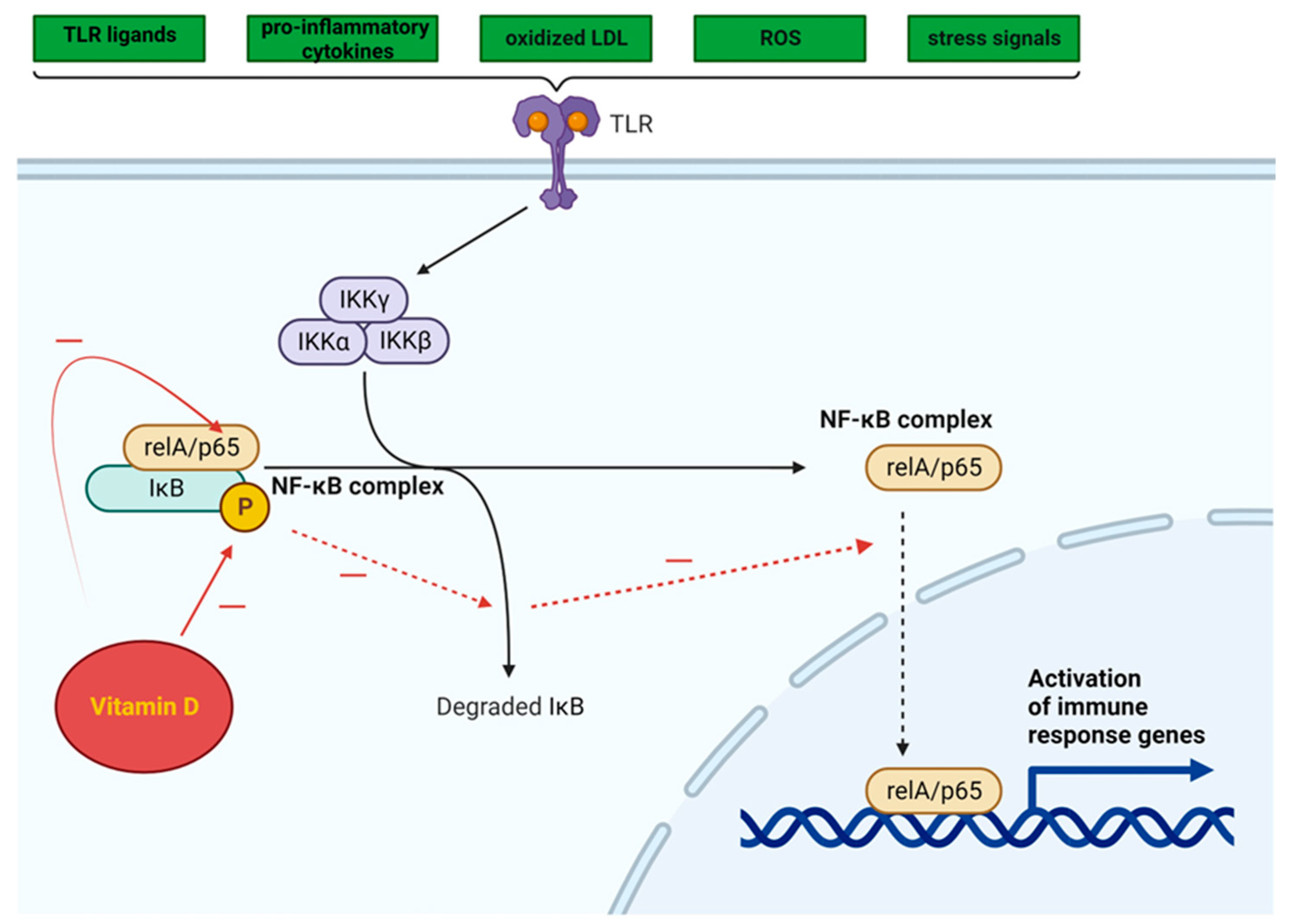Metabolites 14 00004 g003