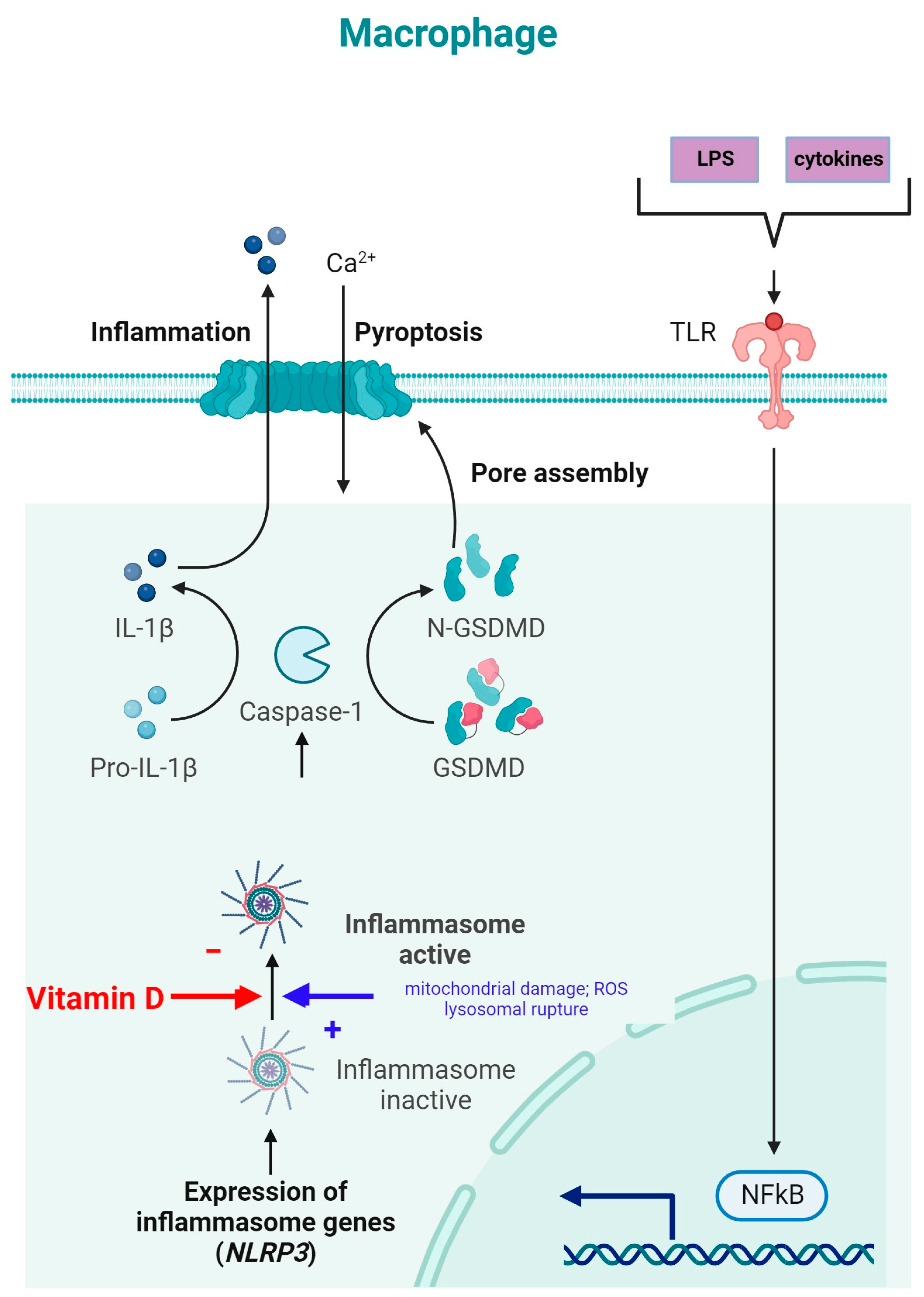 Metabolites 14 00004 g004