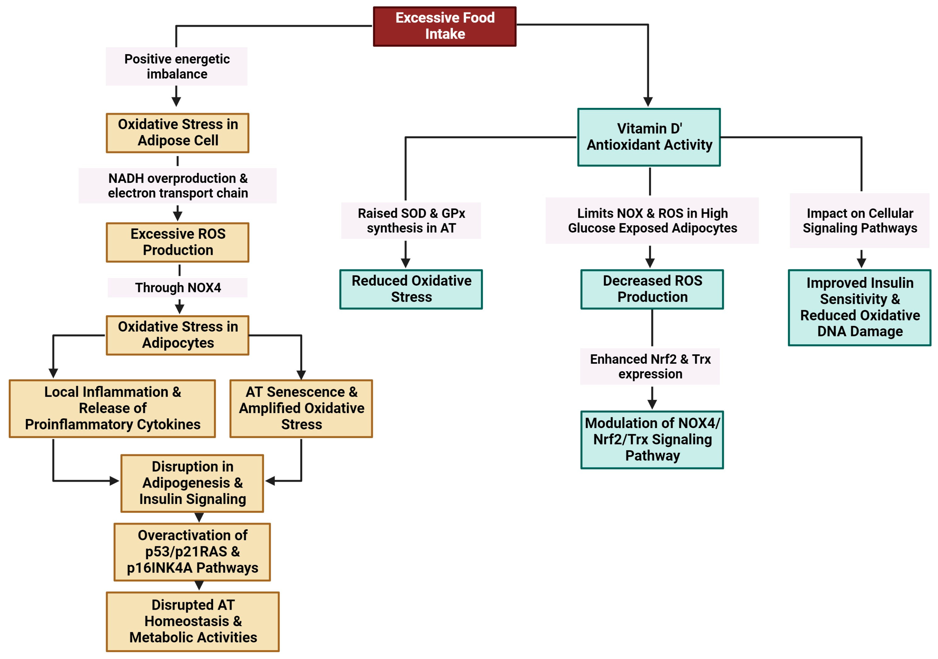 Metabolites 14 00004 g005