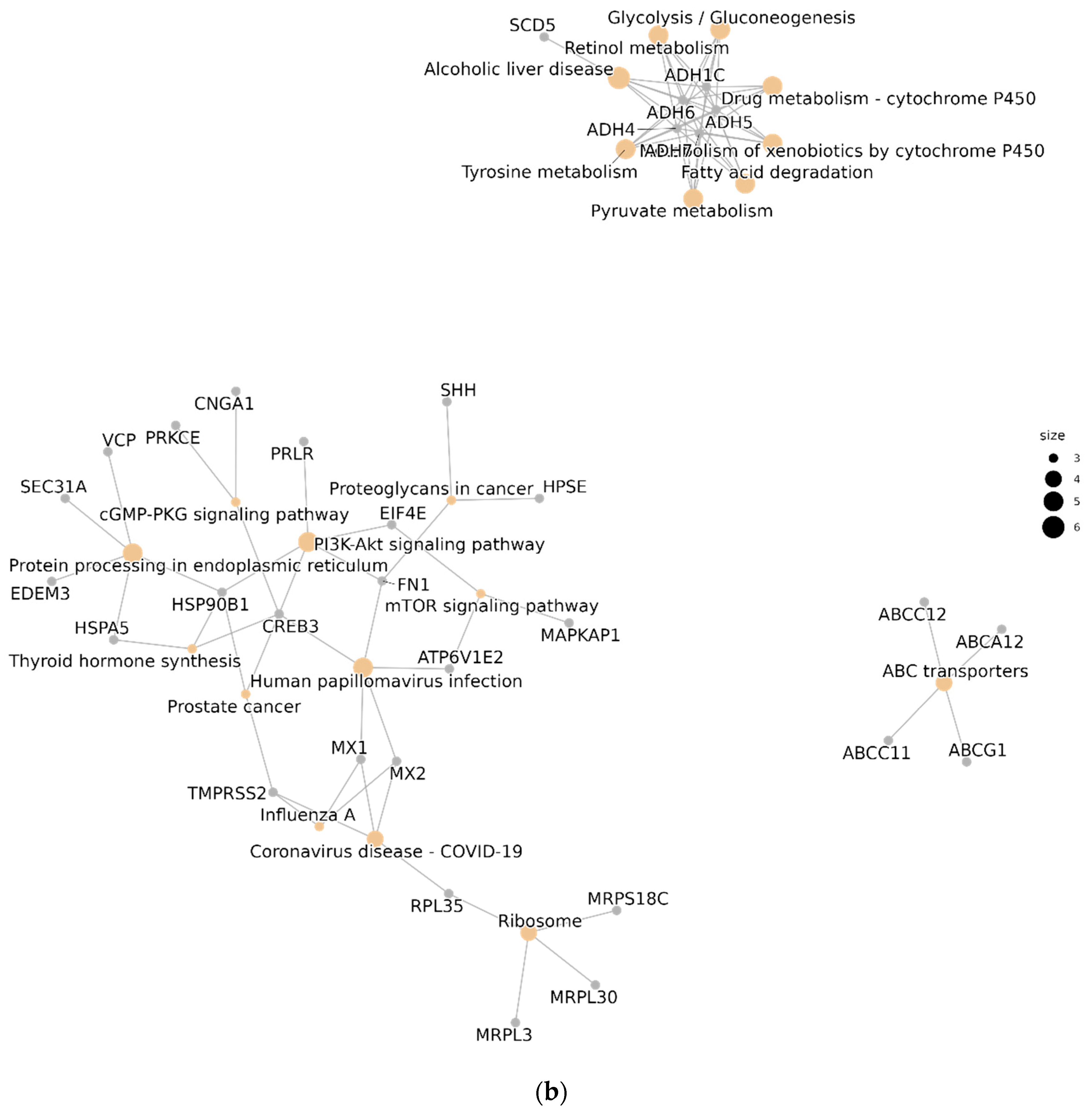 Metabolites 14 00006 g003b Metabolites 14 00006 g003b