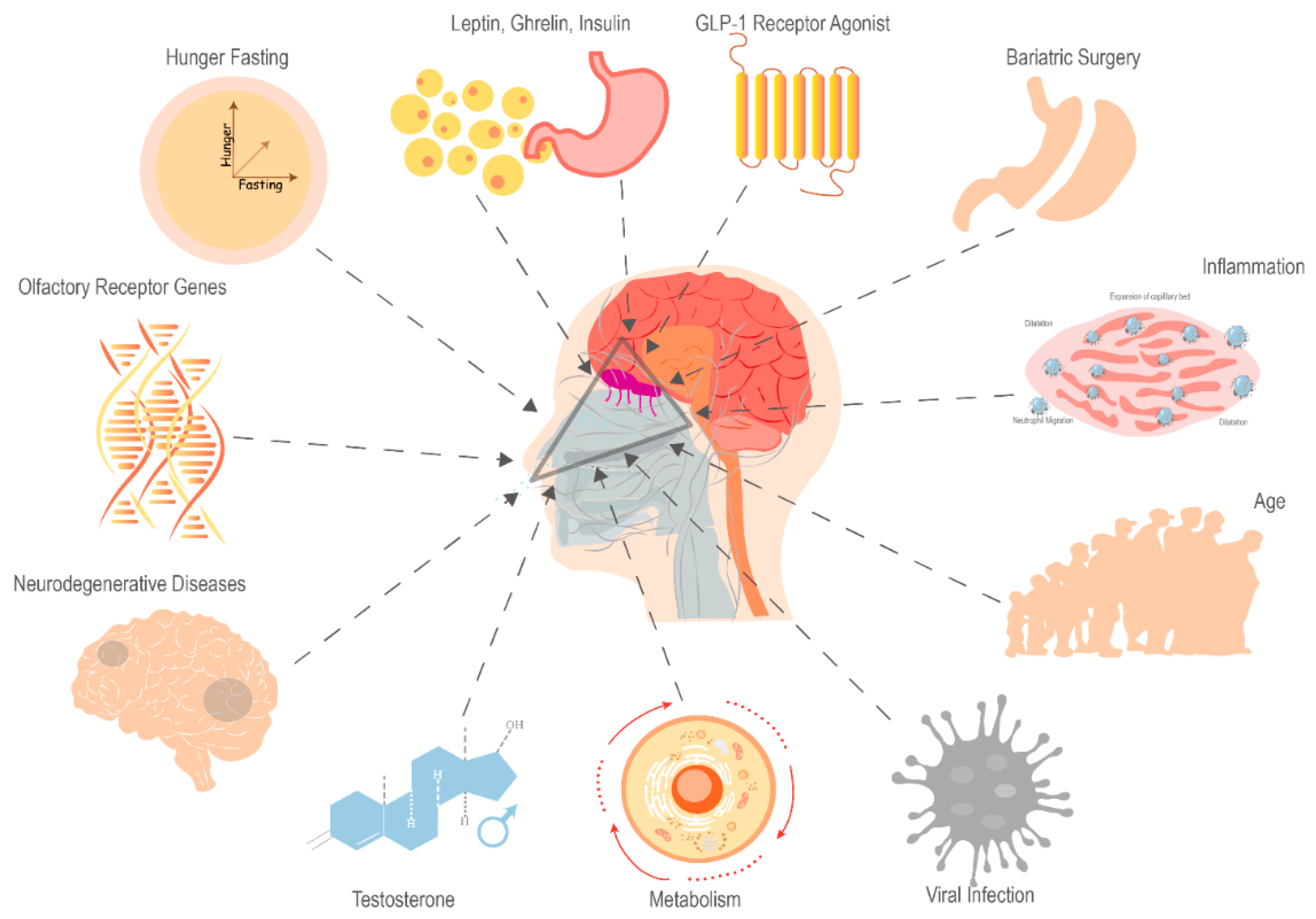 Metabolites 14 00016 g001