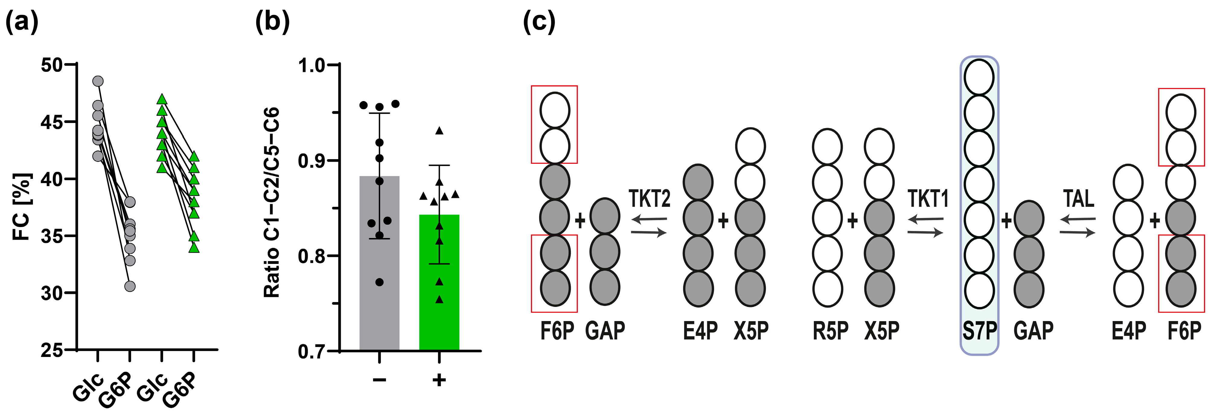 Metabolites 14 00024 g005
