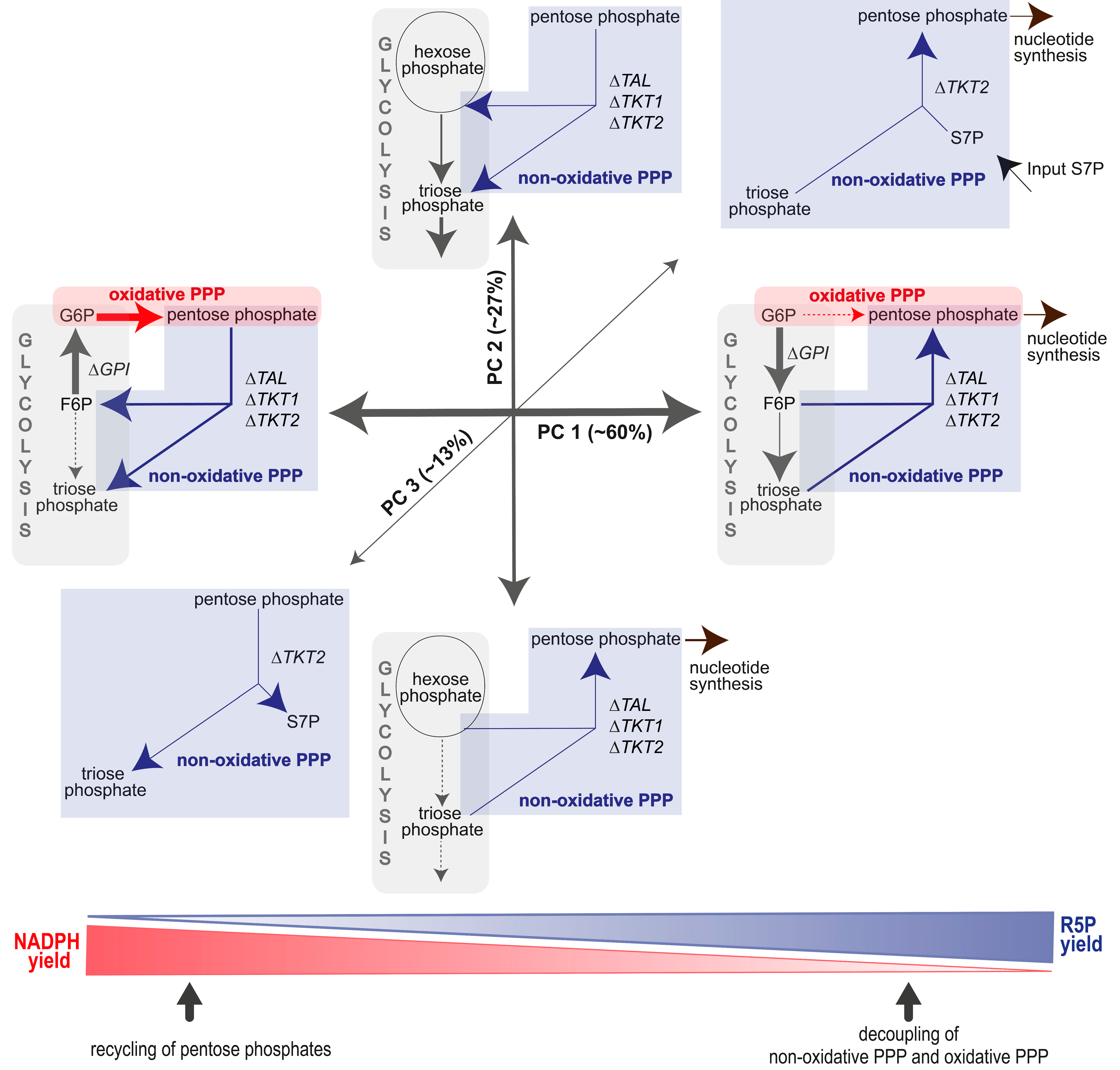 Metabolites 14 00024 g012