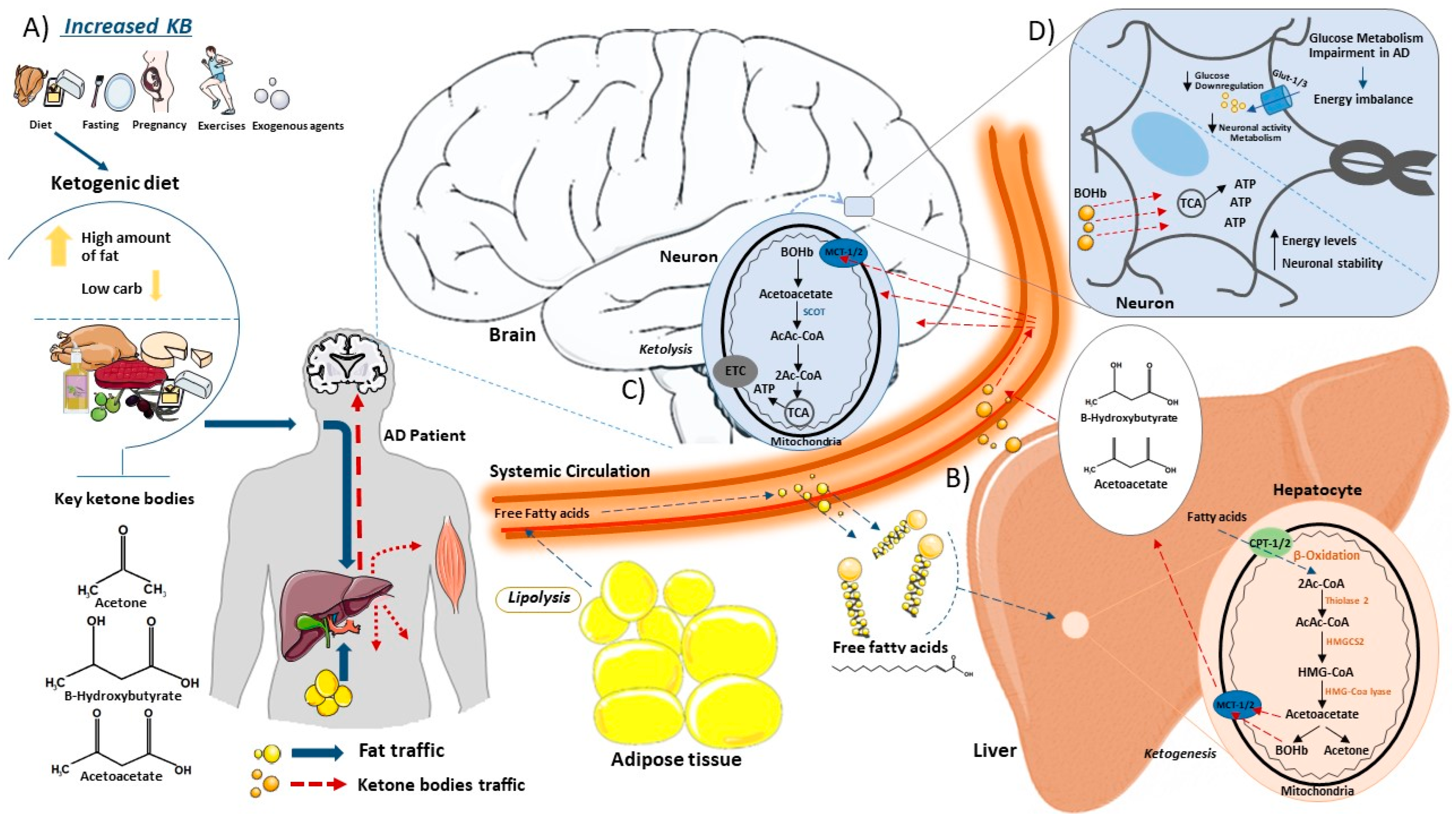 Metabolites 14 00025 g001
