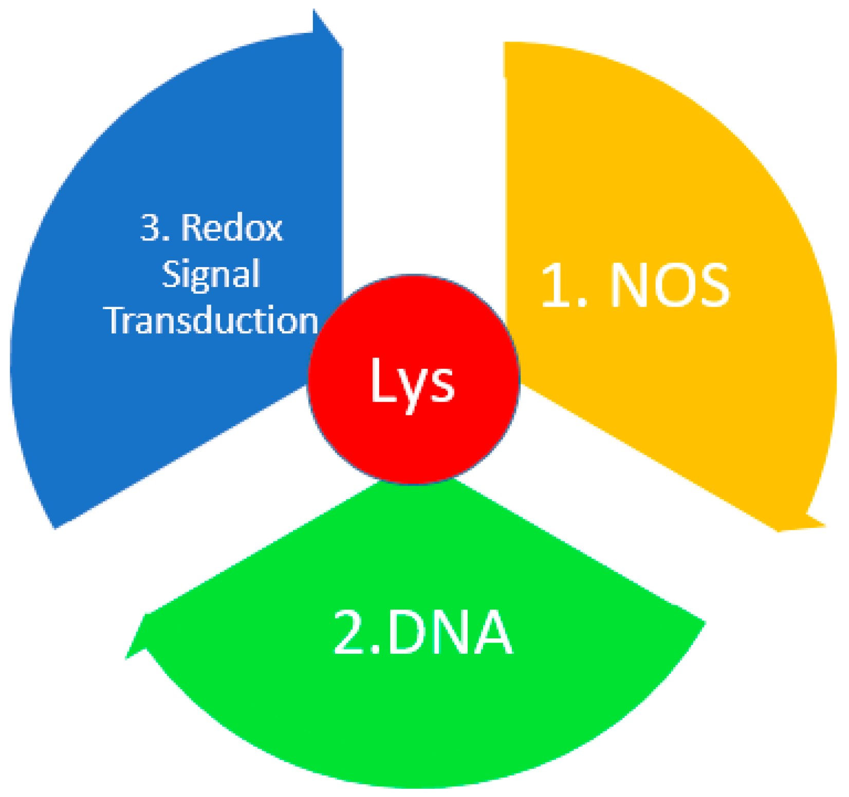 Metabolites 14 00028 g007