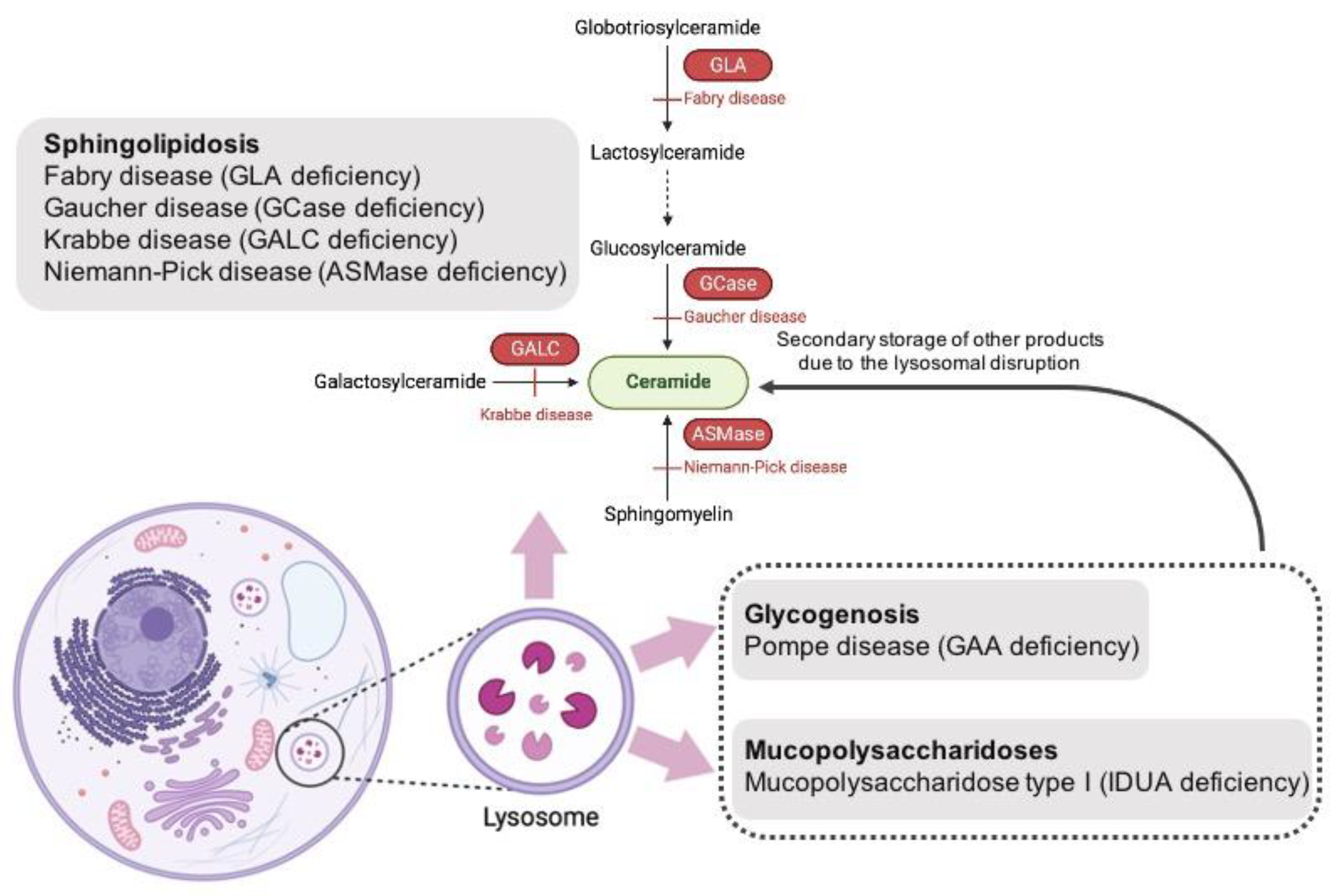 Metabolites 14 00030 g002