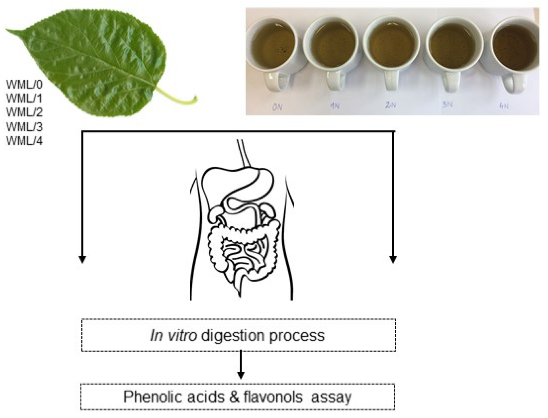 Metabolites 14 00031 g001