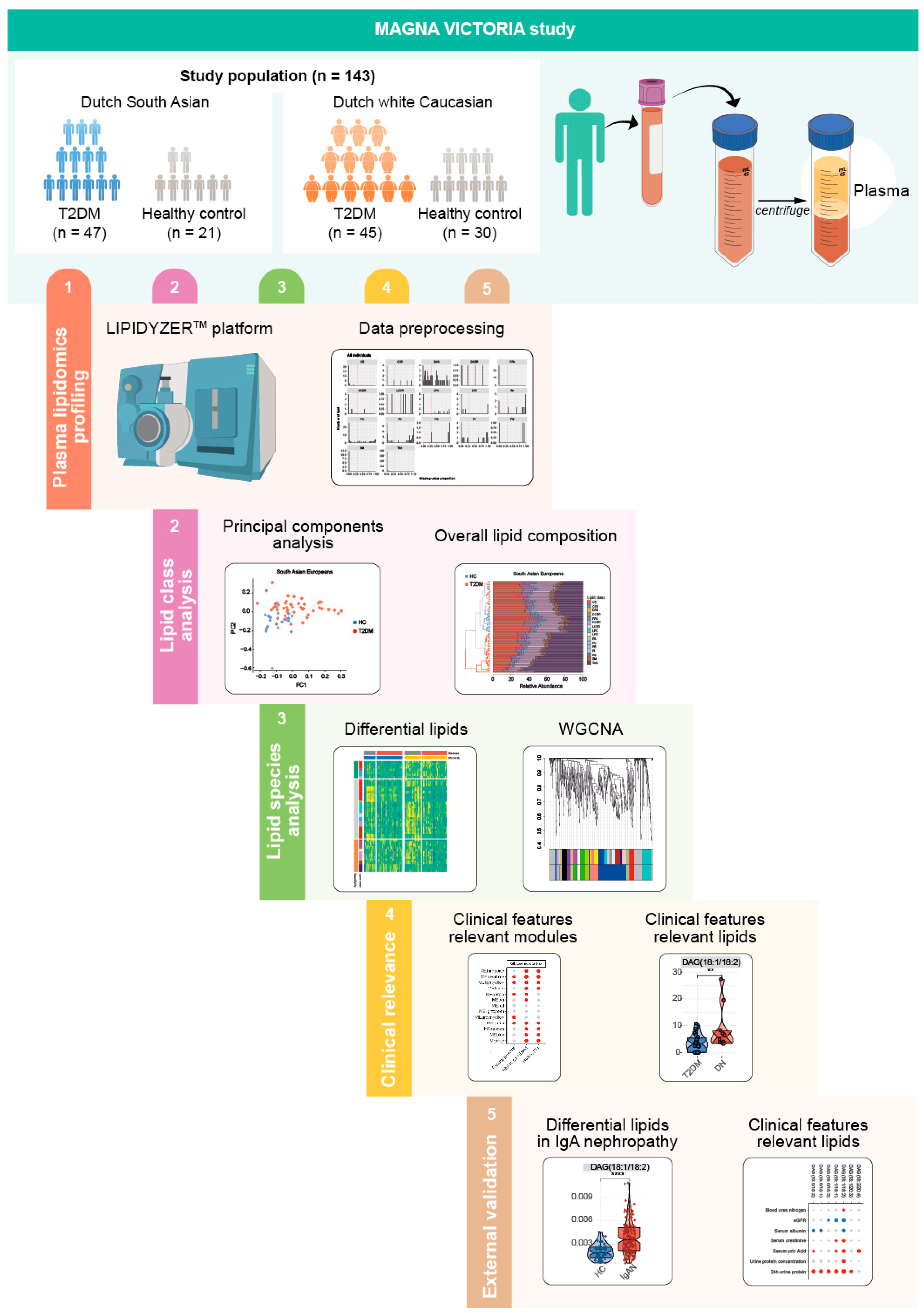 Metabolites 14 00033 g001 Metabolites 14 00033 g001