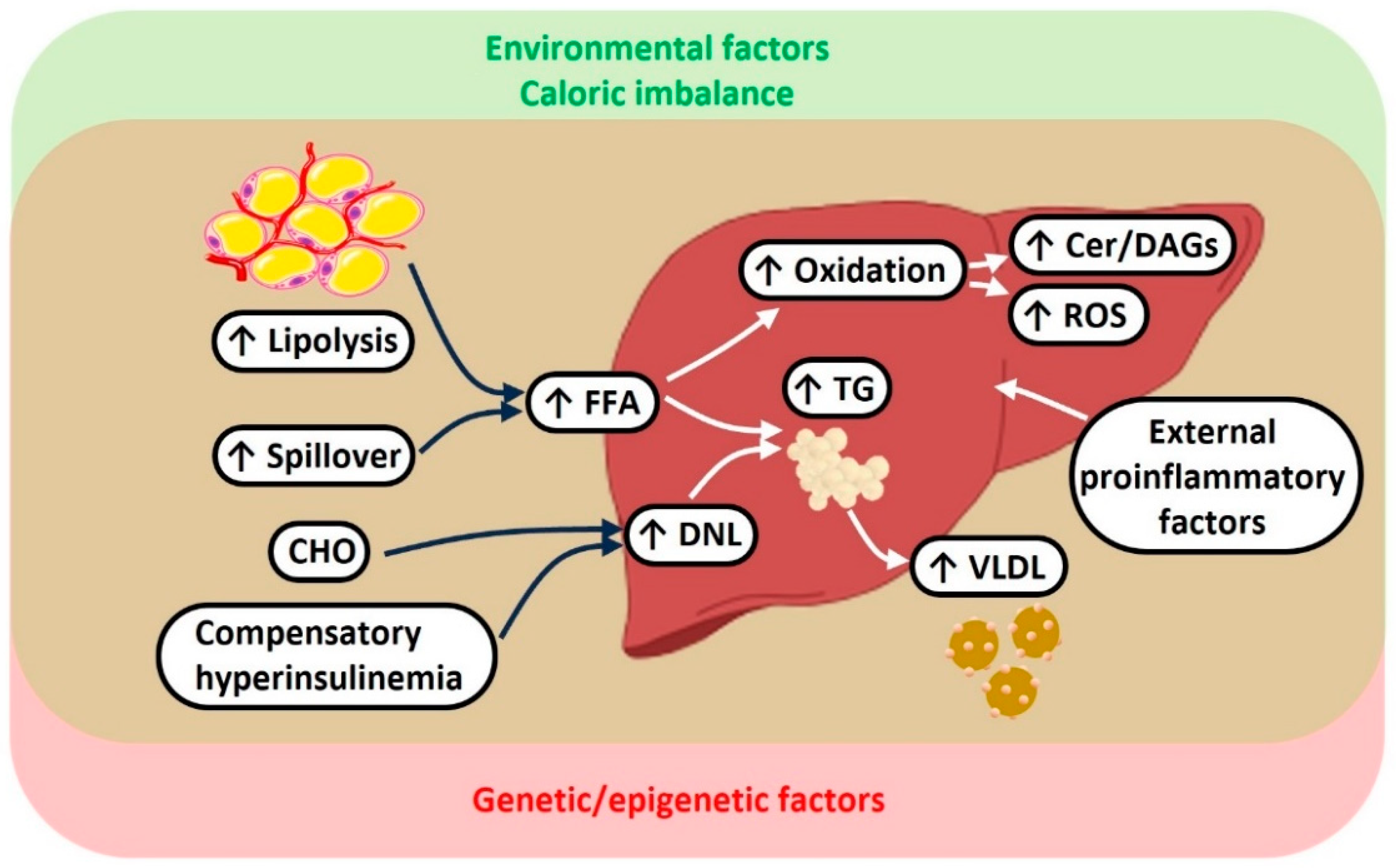 Metabolites 14 00040 g001