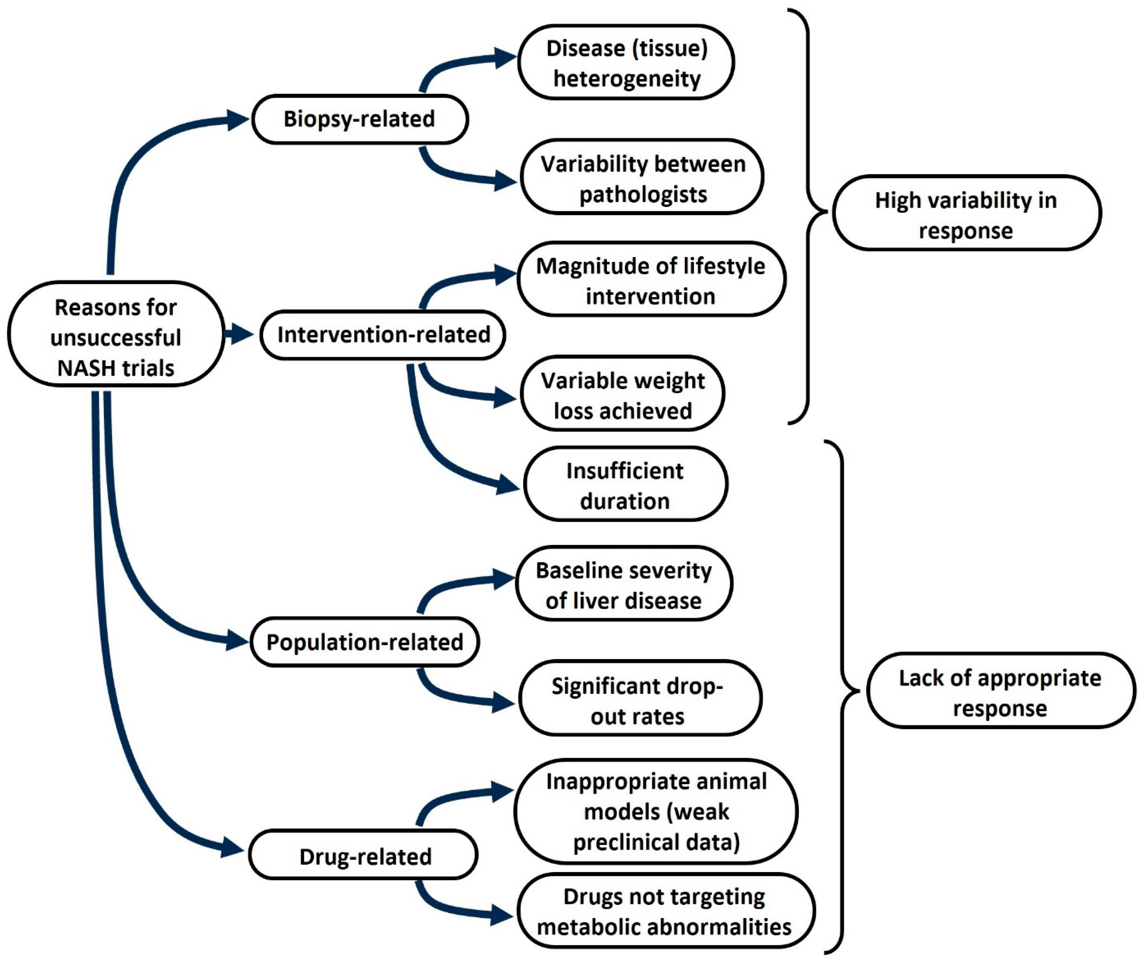 Metabolites 14 00040 g002