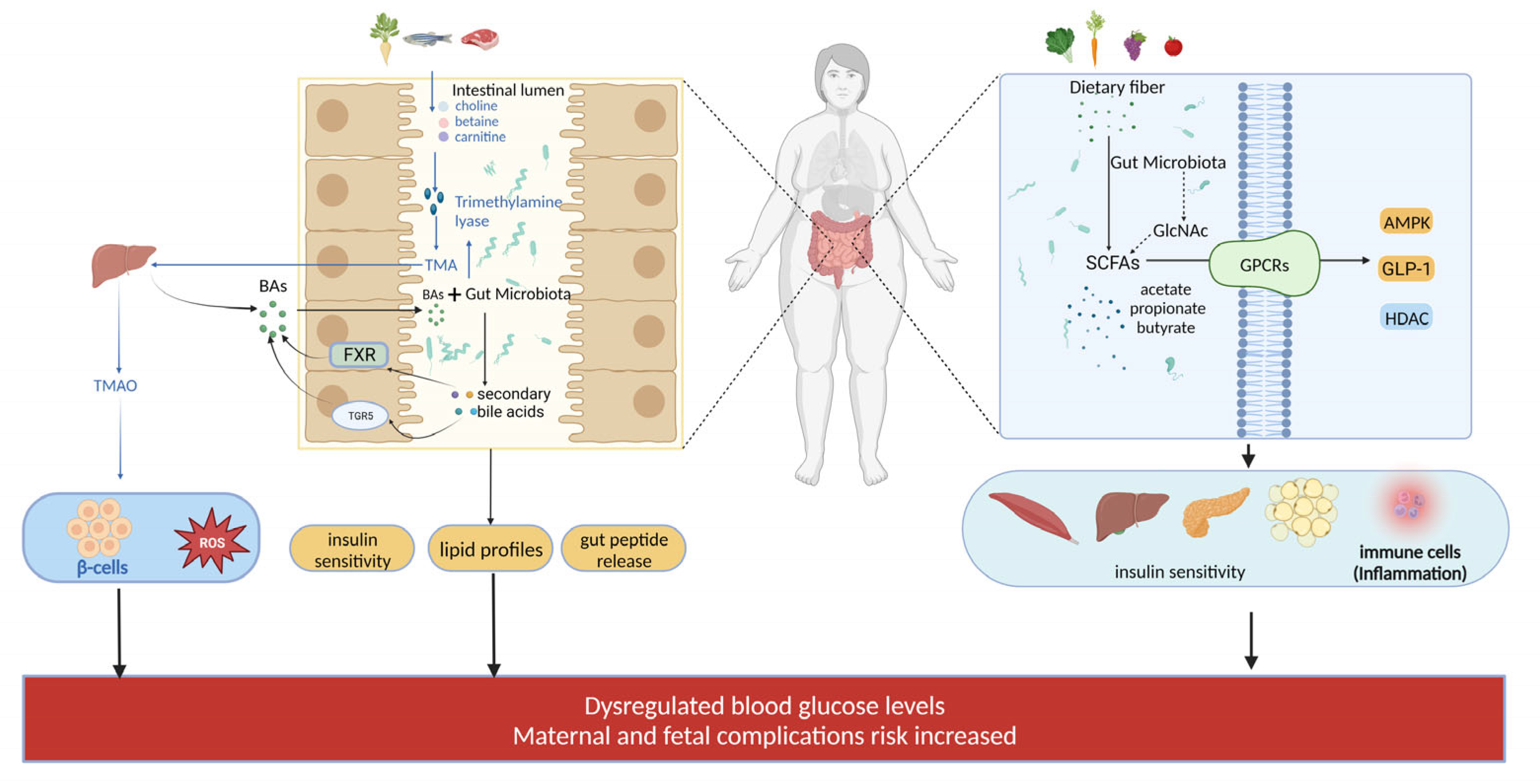 Metabolites 14 00043 g003