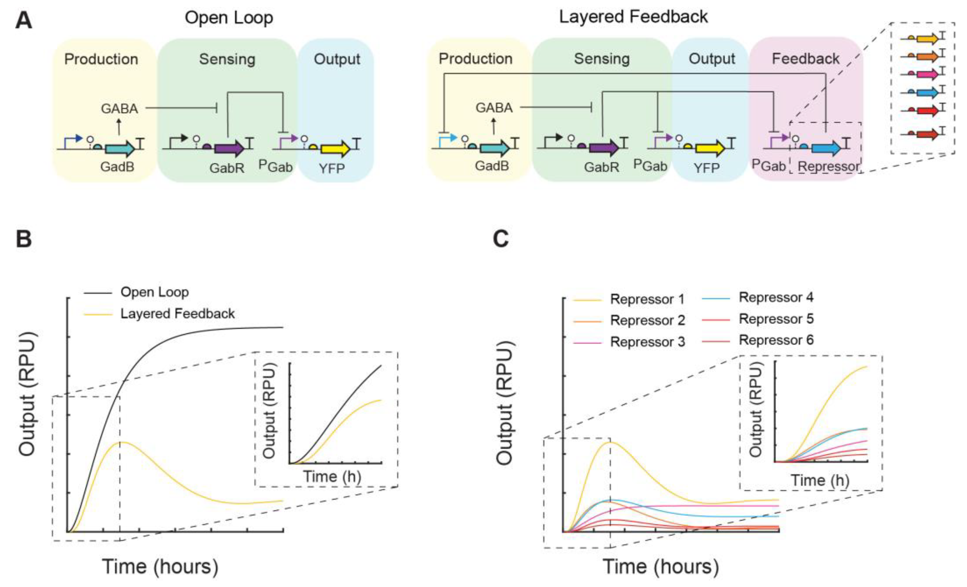 Metabolites 14 00044 g001