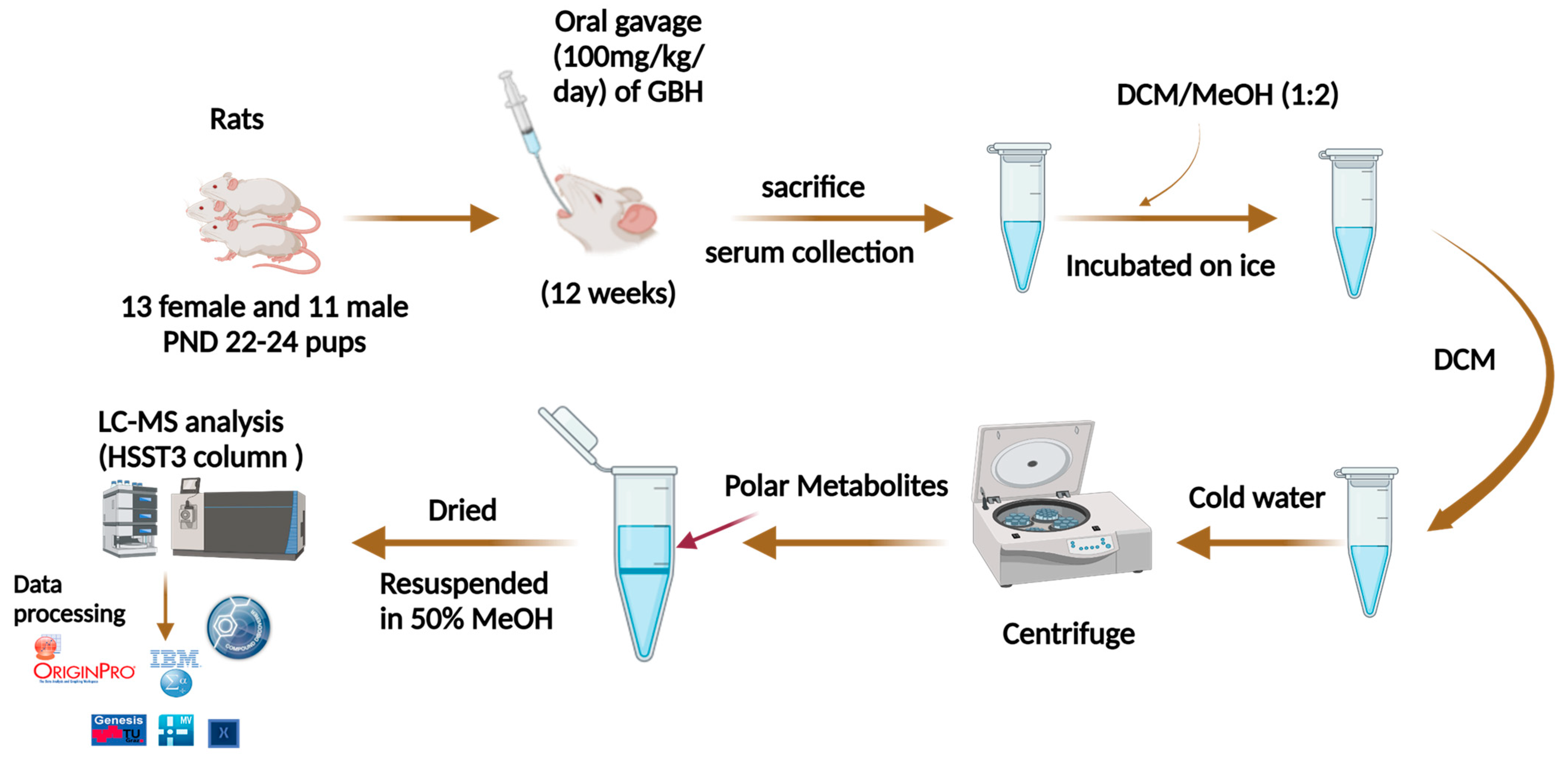 Metabolites 14 00050 g001
