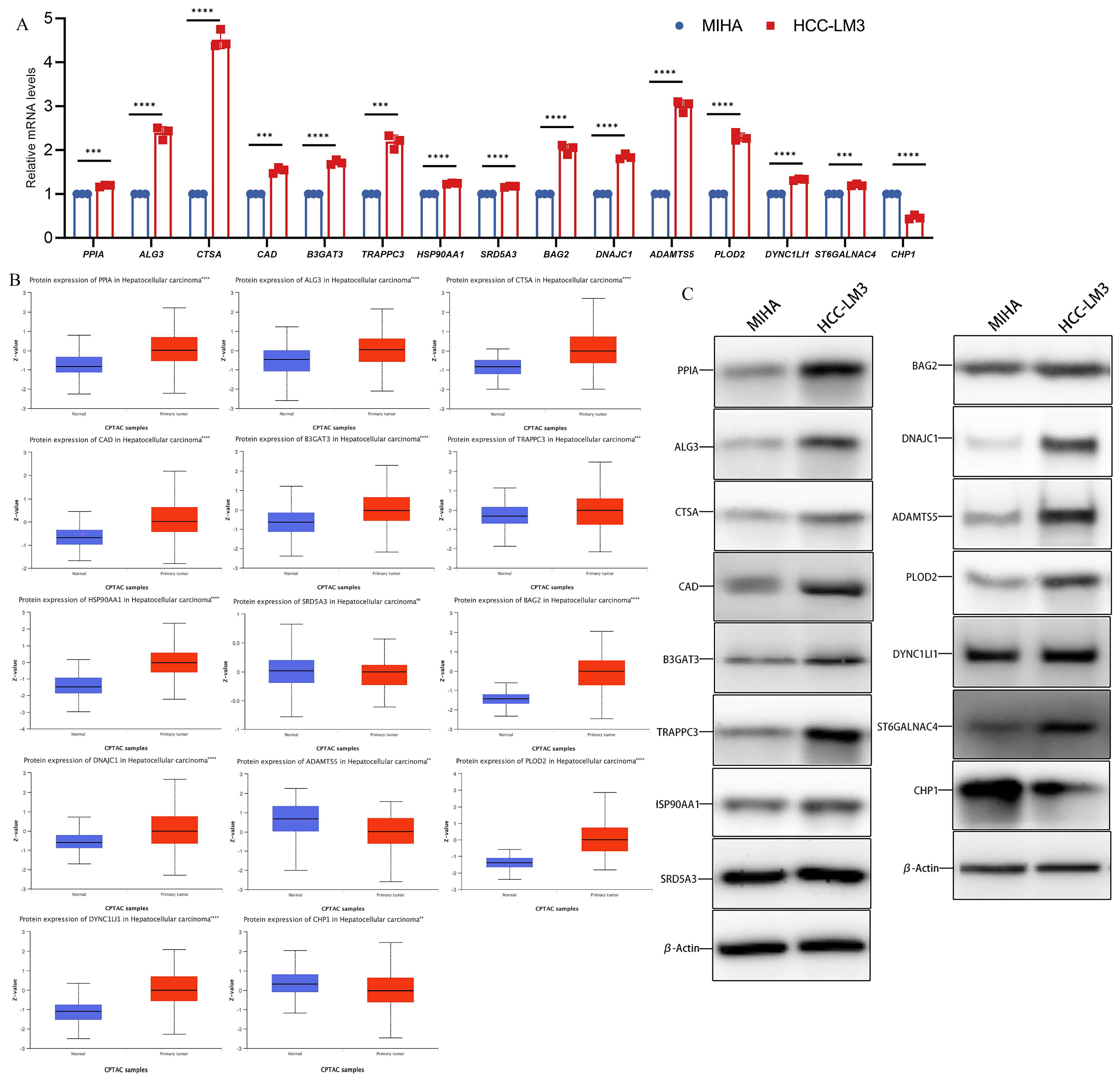 Metabolites 14 00051 g002