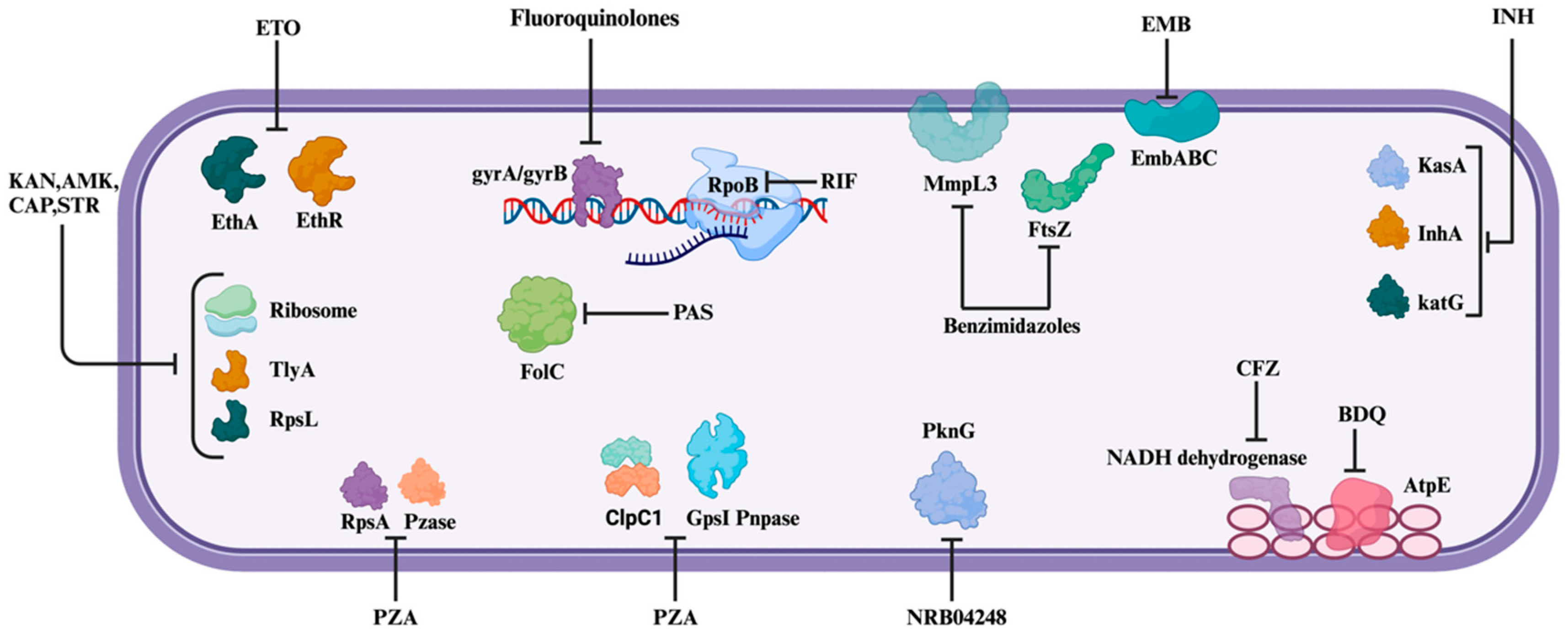 Metabolites 14 00063 g001