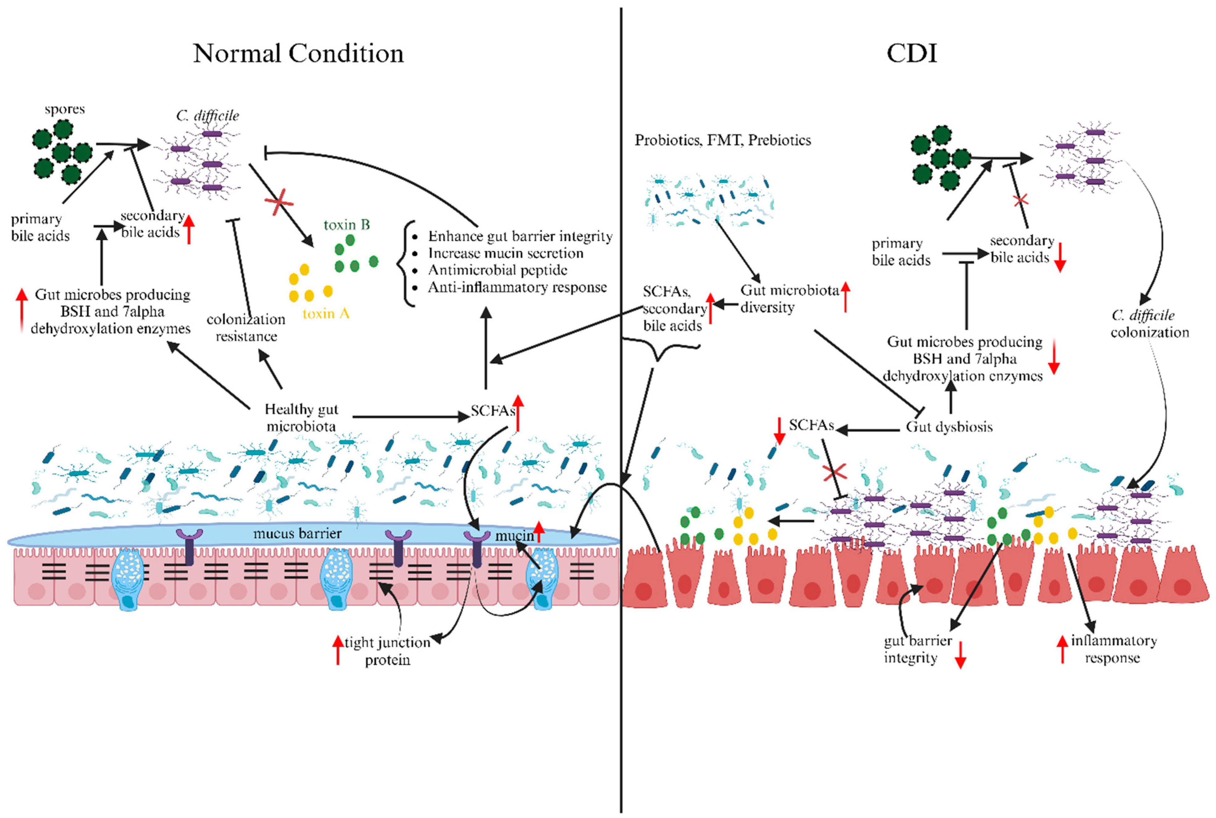 Metabolites 14 00074 g001