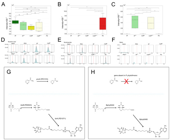 The Exometabolome of Xylella fastidiosa in Contact with