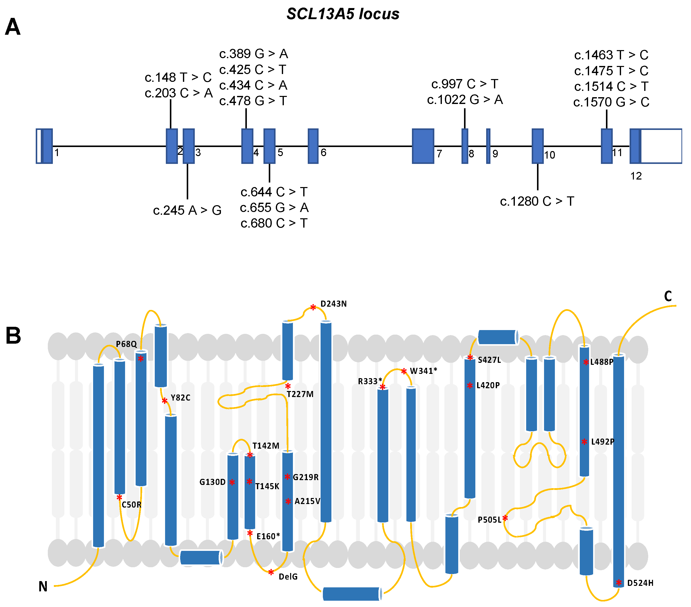 Metabolites 14 00084 g001 Metabolites 14 00084 g001