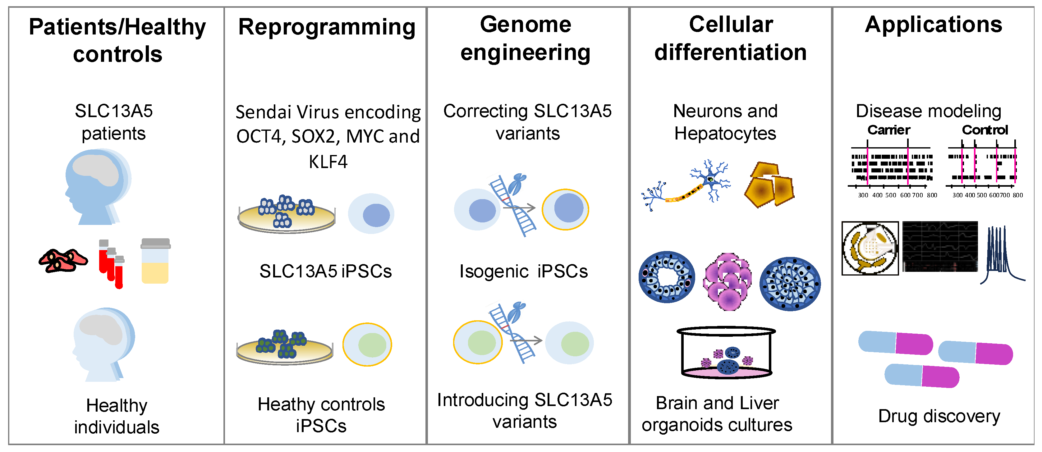 Metabolites 14 00084 g002 Metabolites 14 00084 g002