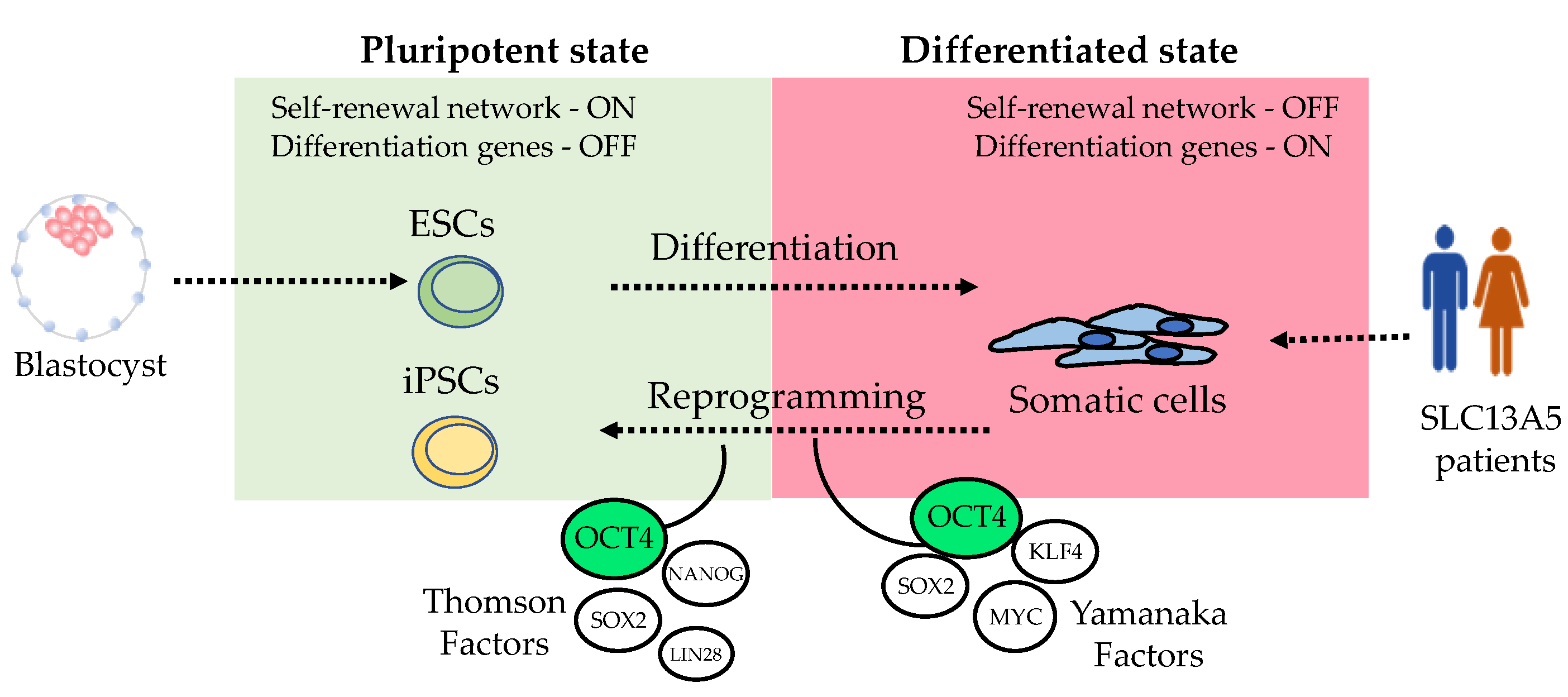Metabolites 14 00084 g003 Metabolites 14 00084 g003