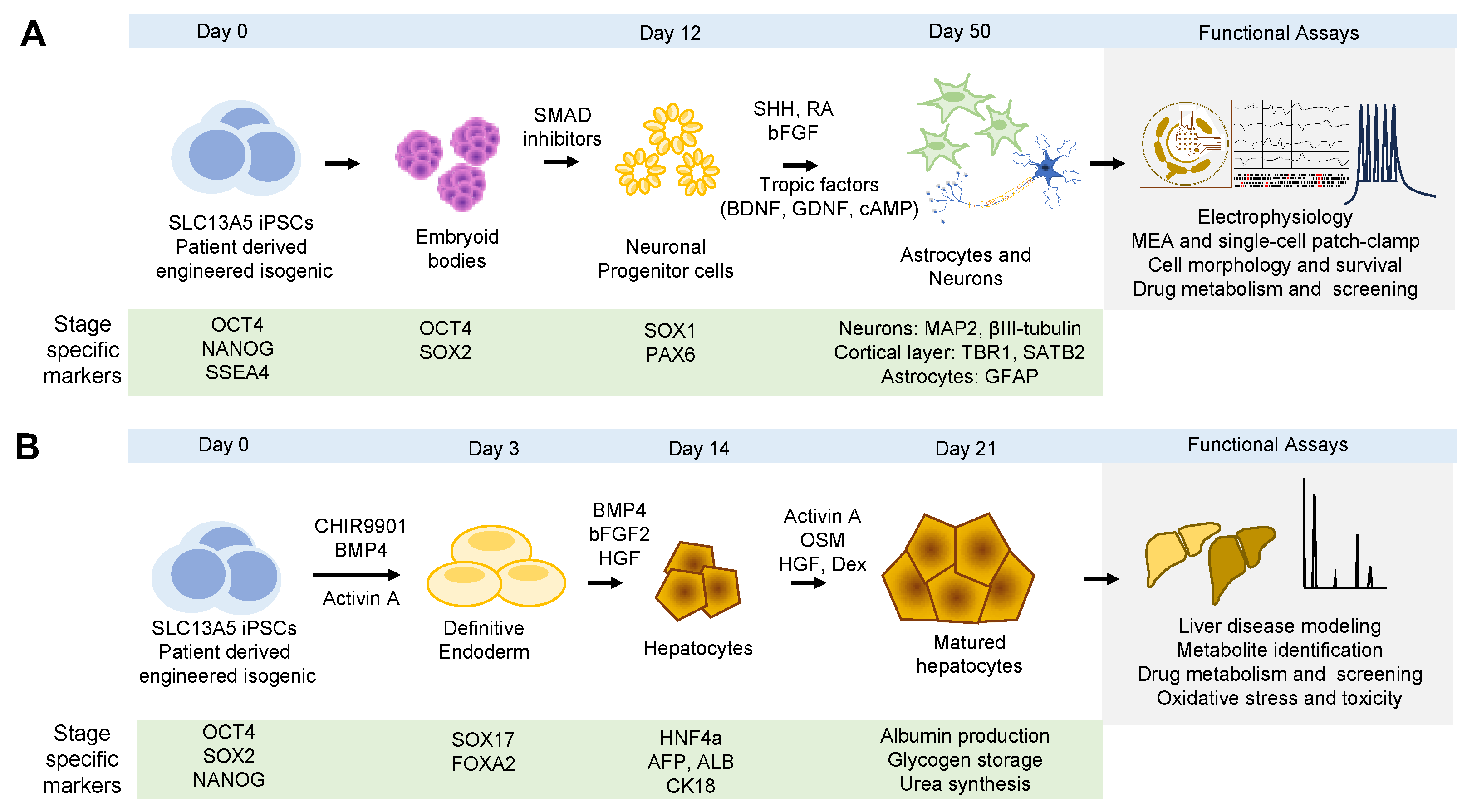 Metabolites 14 00084 g004 Metabolites 14 00084 g004