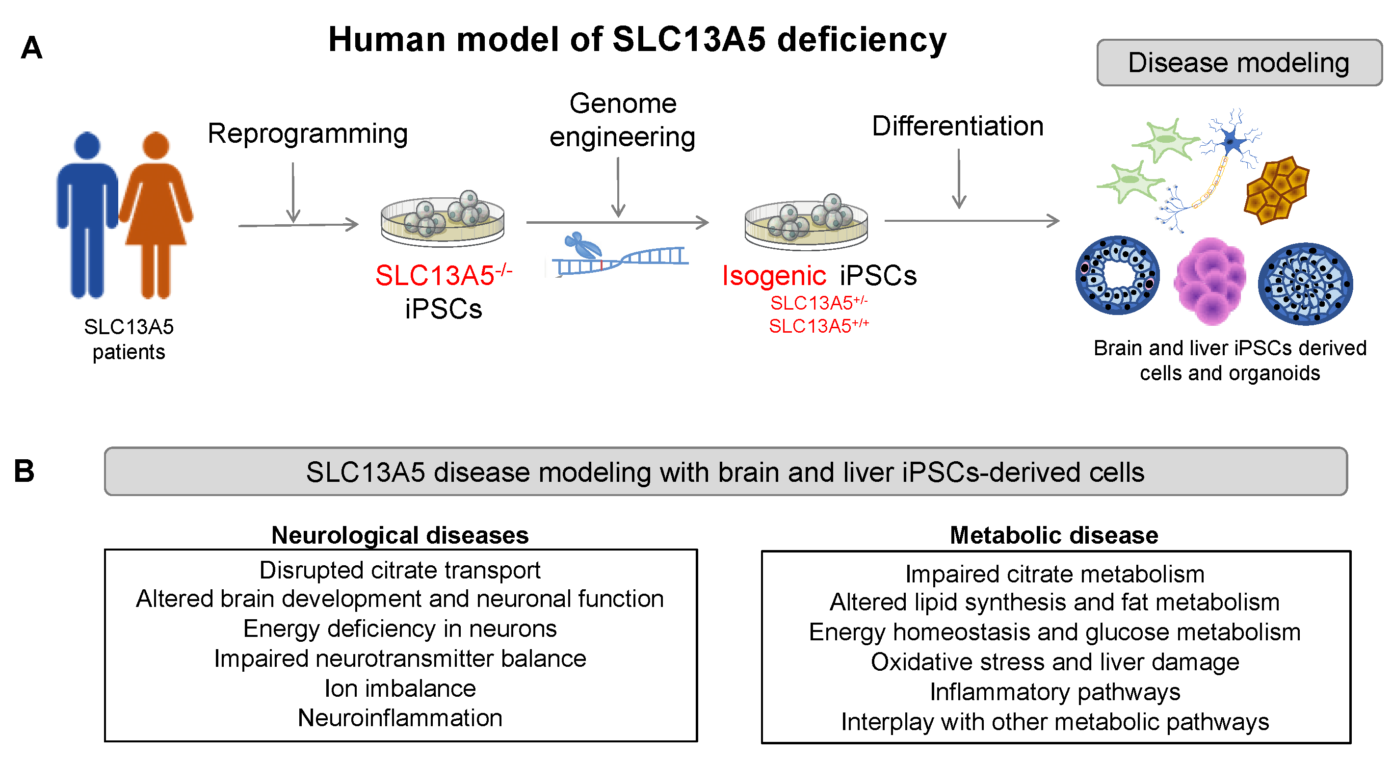 Metabolites 14 00084 g005 Metabolites 14 00084 g005