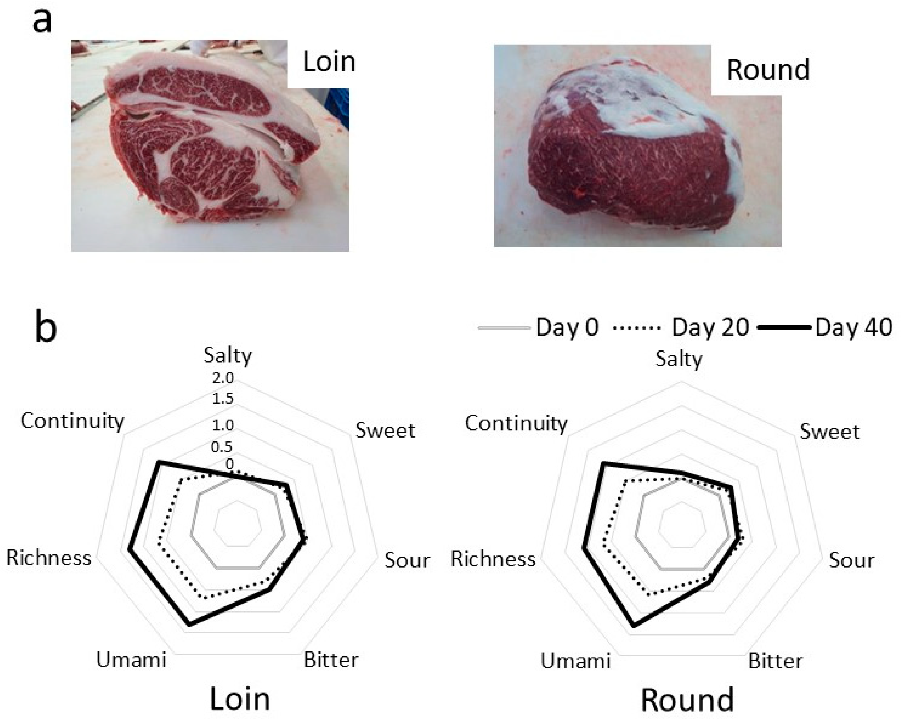 Metabolites 14 00095 g001