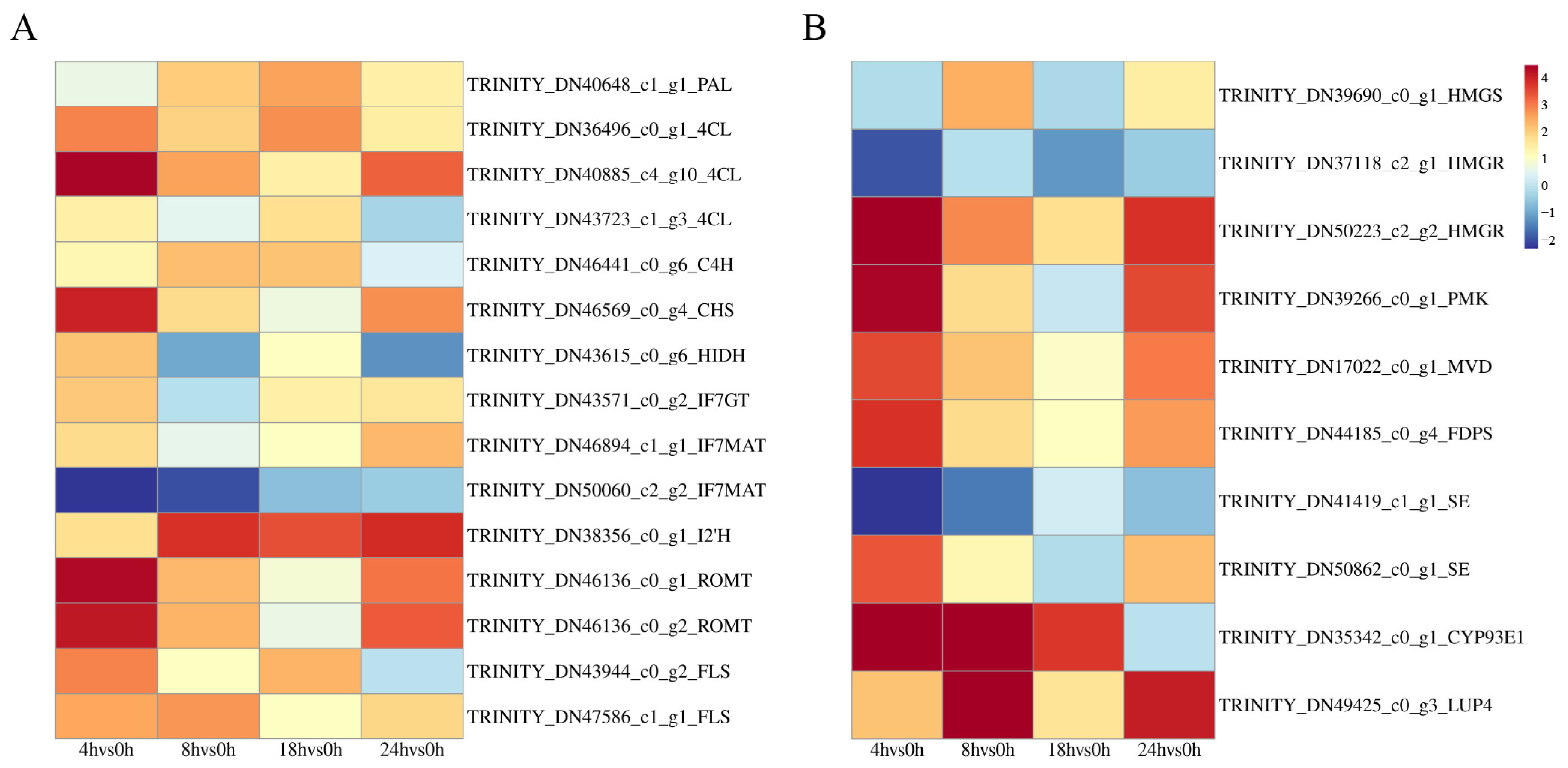 Metabolites 14 00097 g004