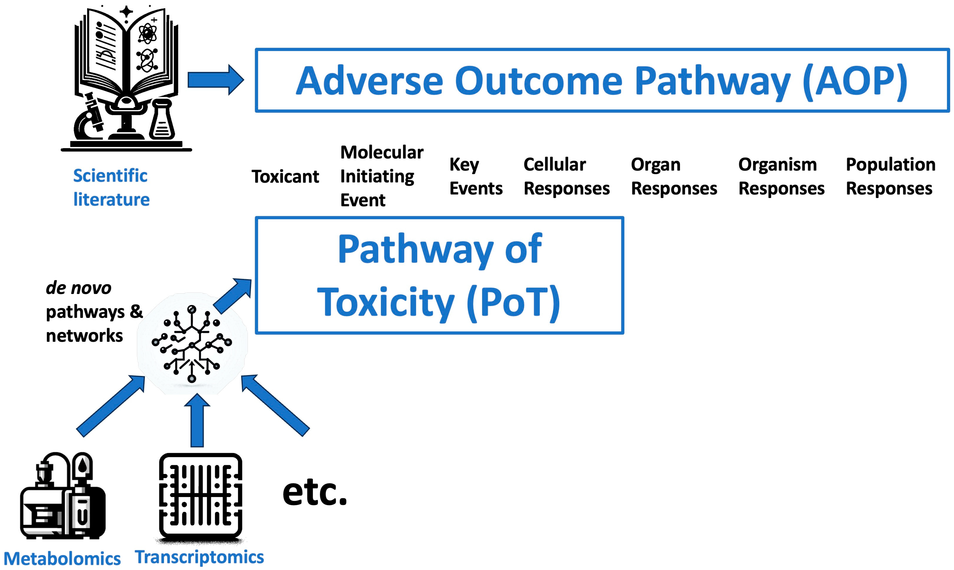 Metabolites 14 00098 g001 Metabolites 14 00098 g001