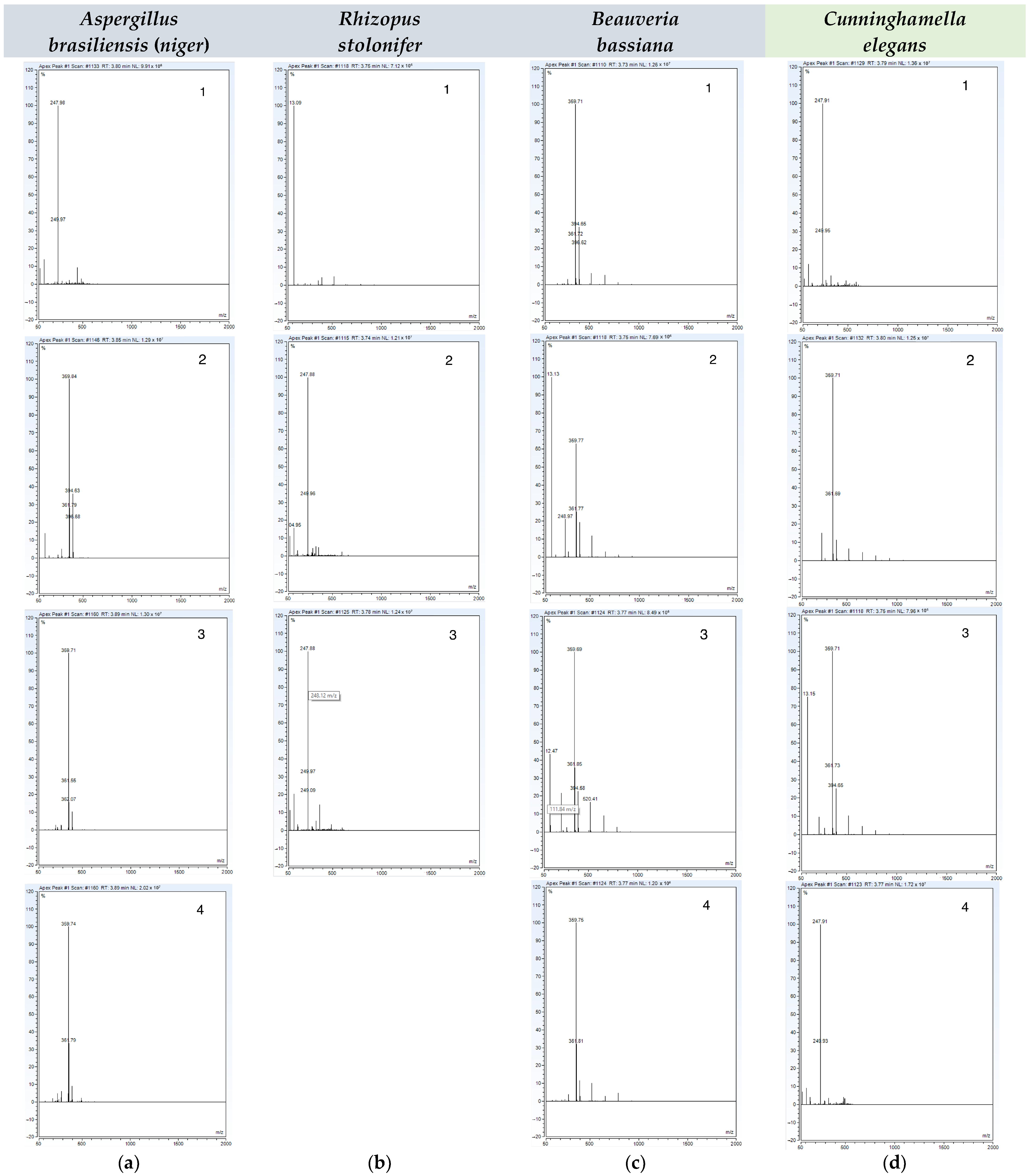 Metabolites 14 00101 g002 Metabolites 14 00101 g002