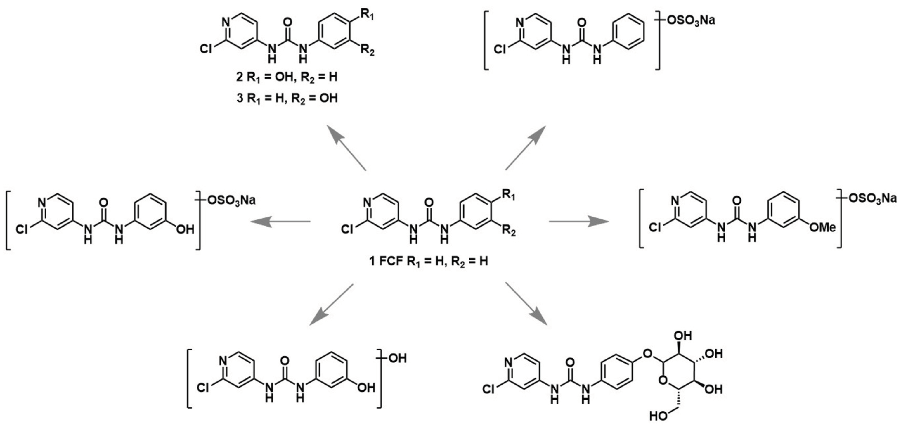 Metabolites 14 00101 sch001 Metabolites 14 00101 sch001