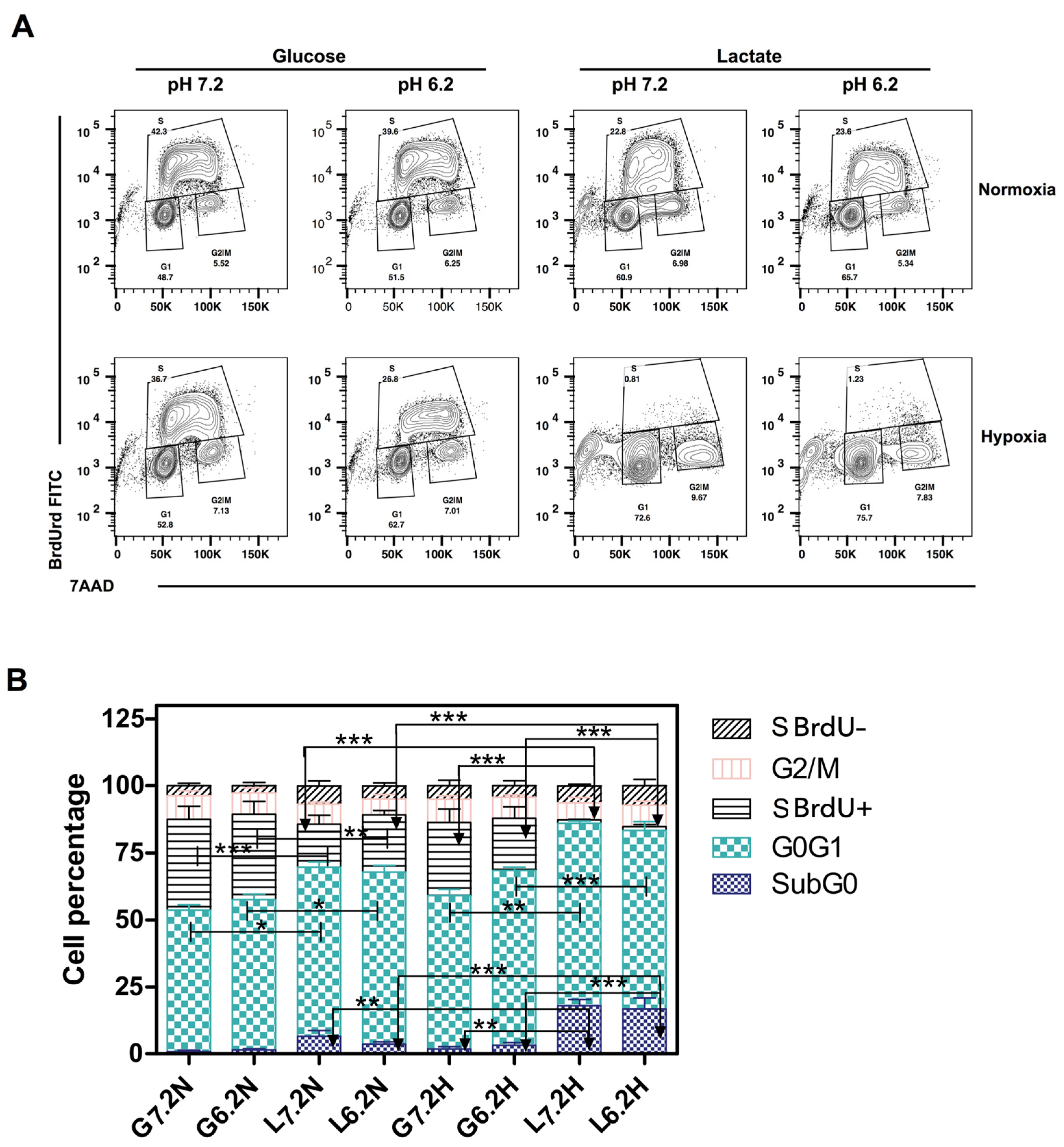Metabolites 14 00103 g005