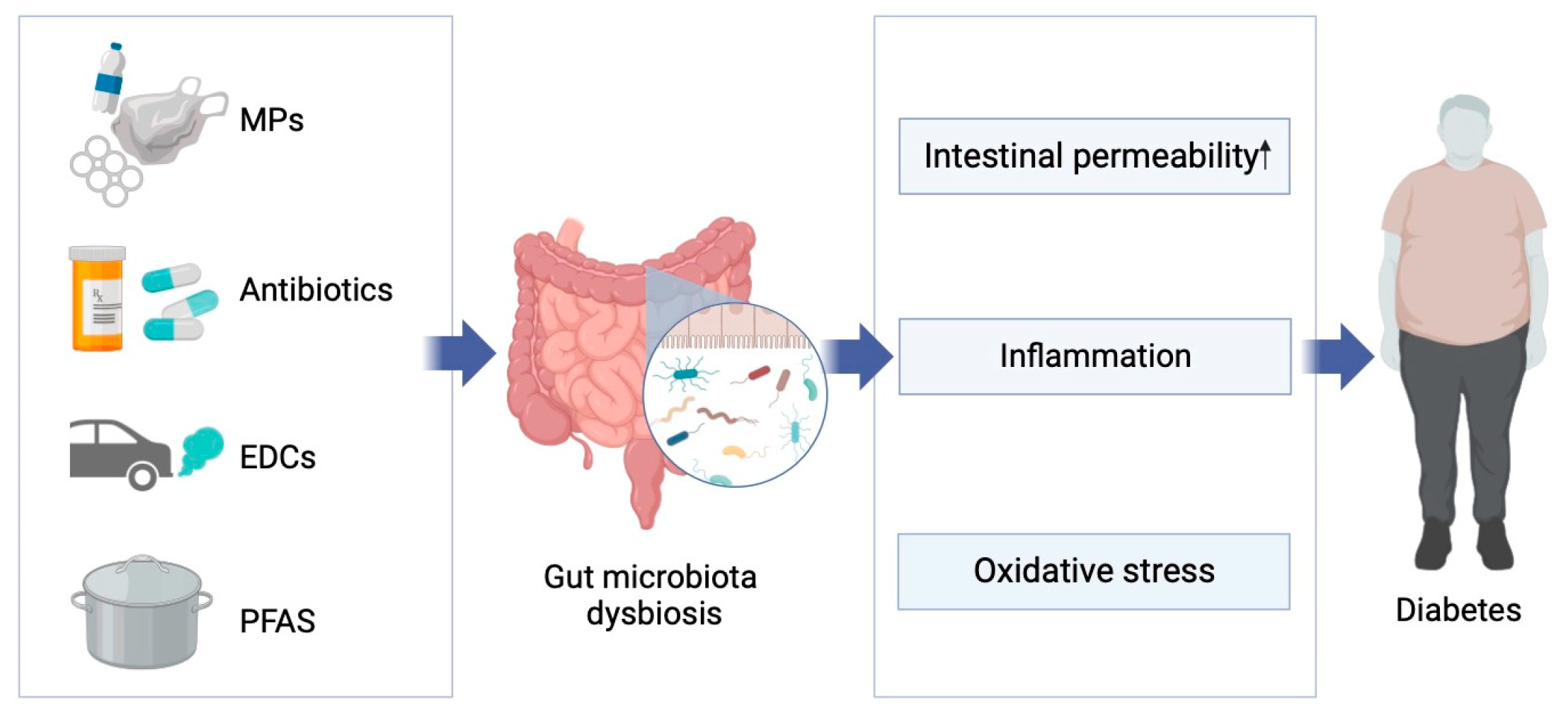 Metabolites 14 00108 g002