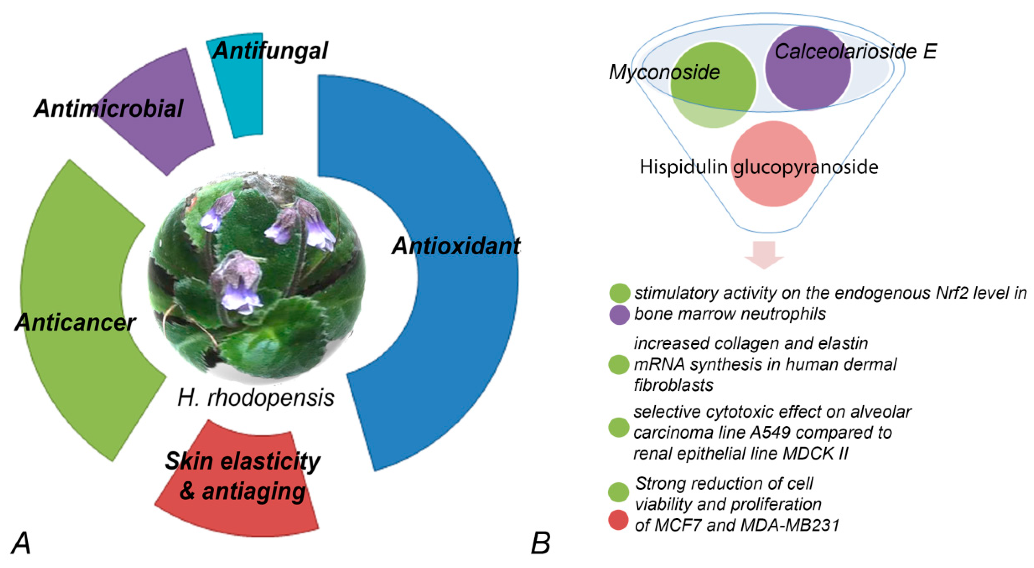 Metabolites 14 00113 g002