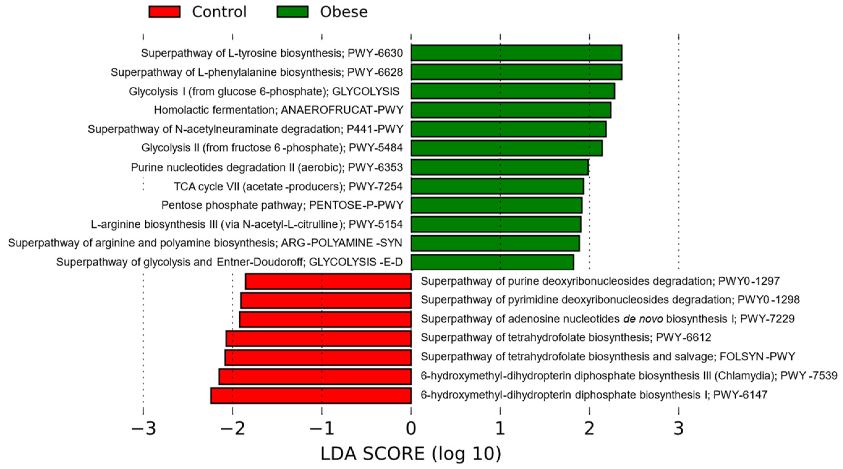 Metabolites 14 00121 g005
