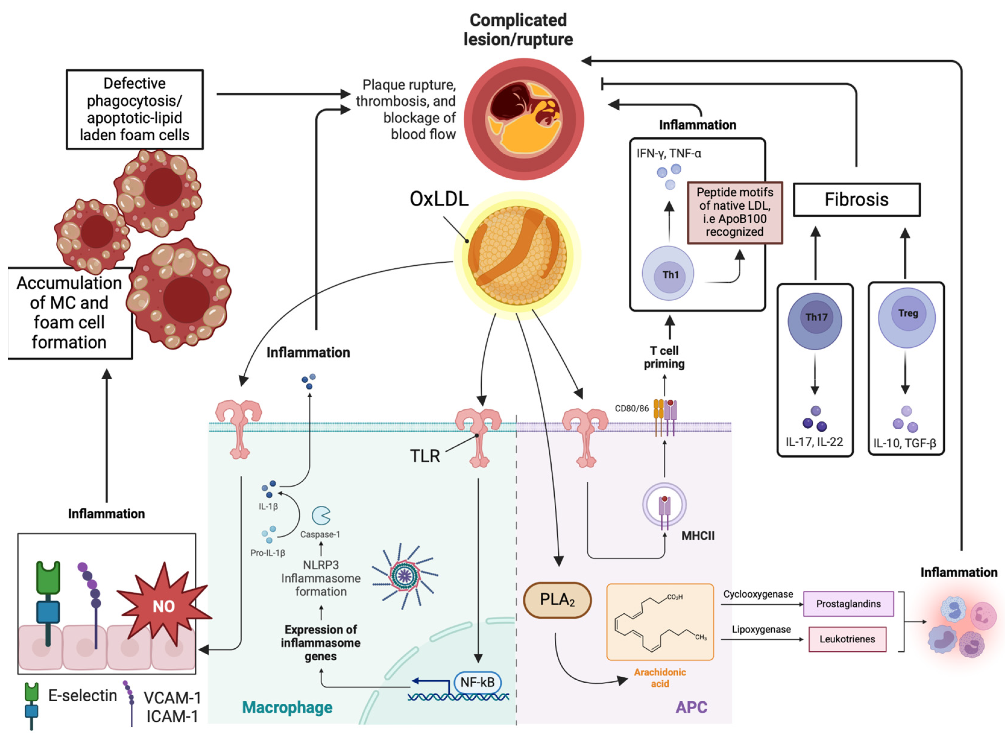 Metabolites 14 00123 g002 Metabolites 14 00123 g002