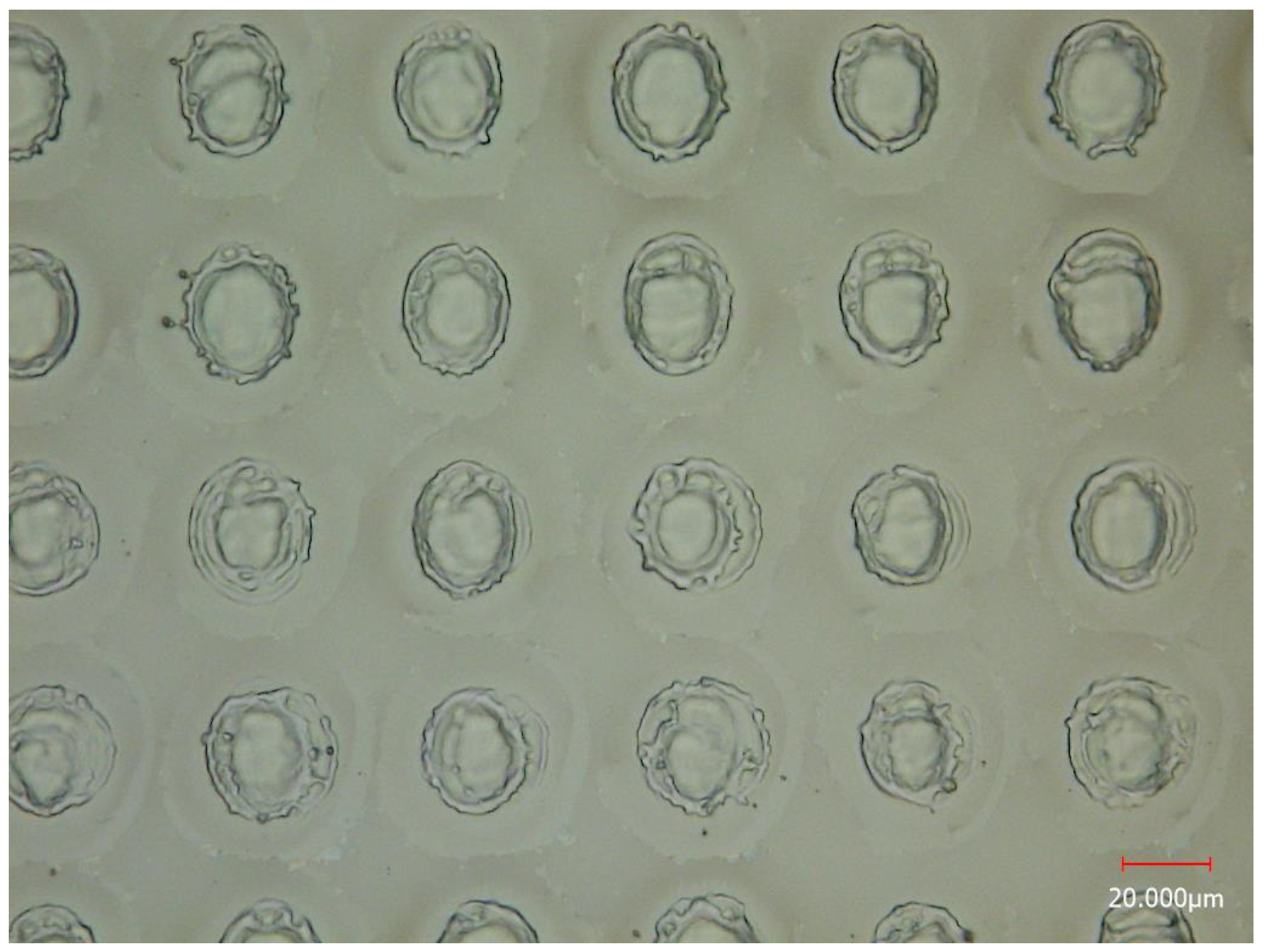 Metabolites 14 00131 g003