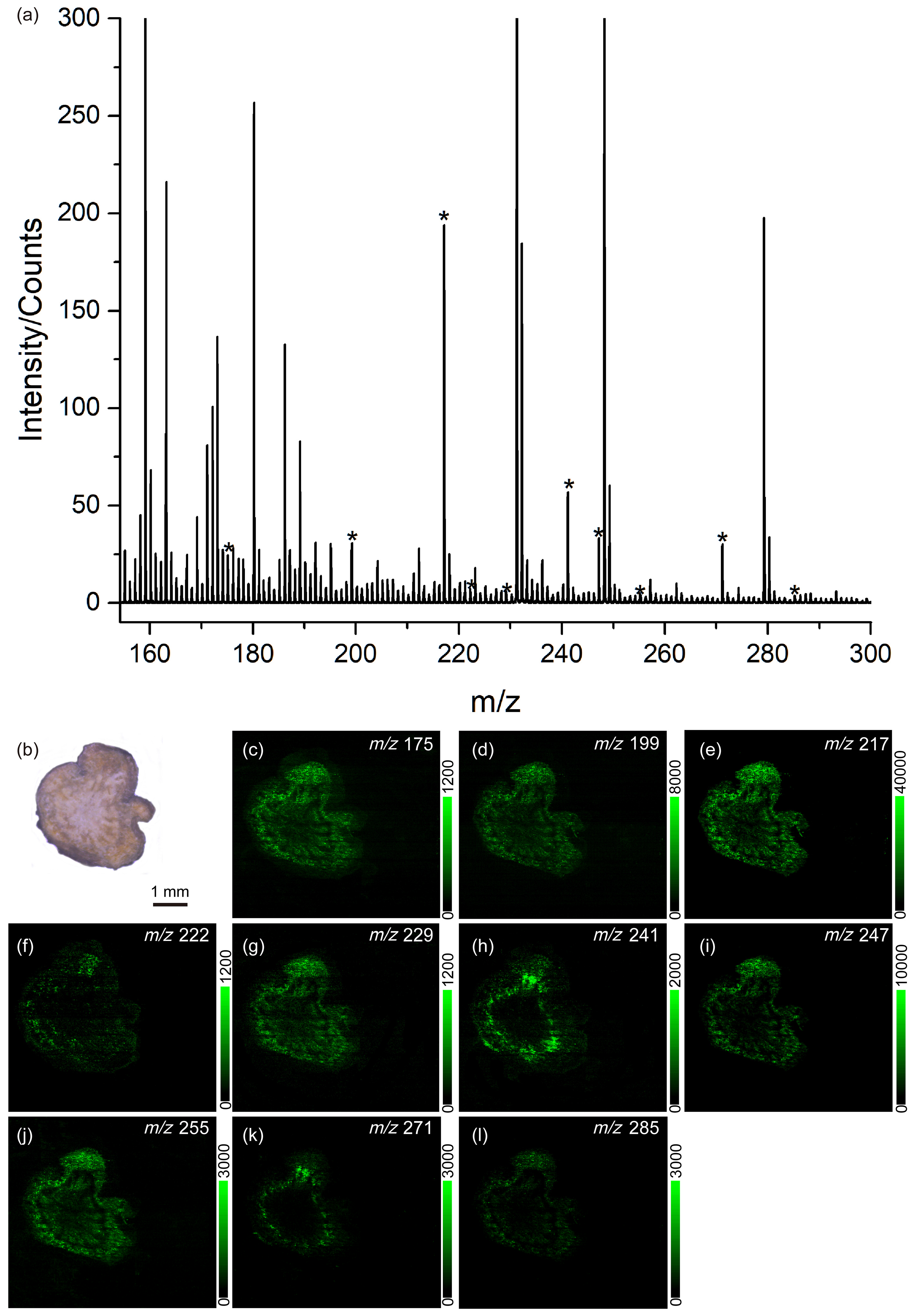 Metabolites 14 00131 g005