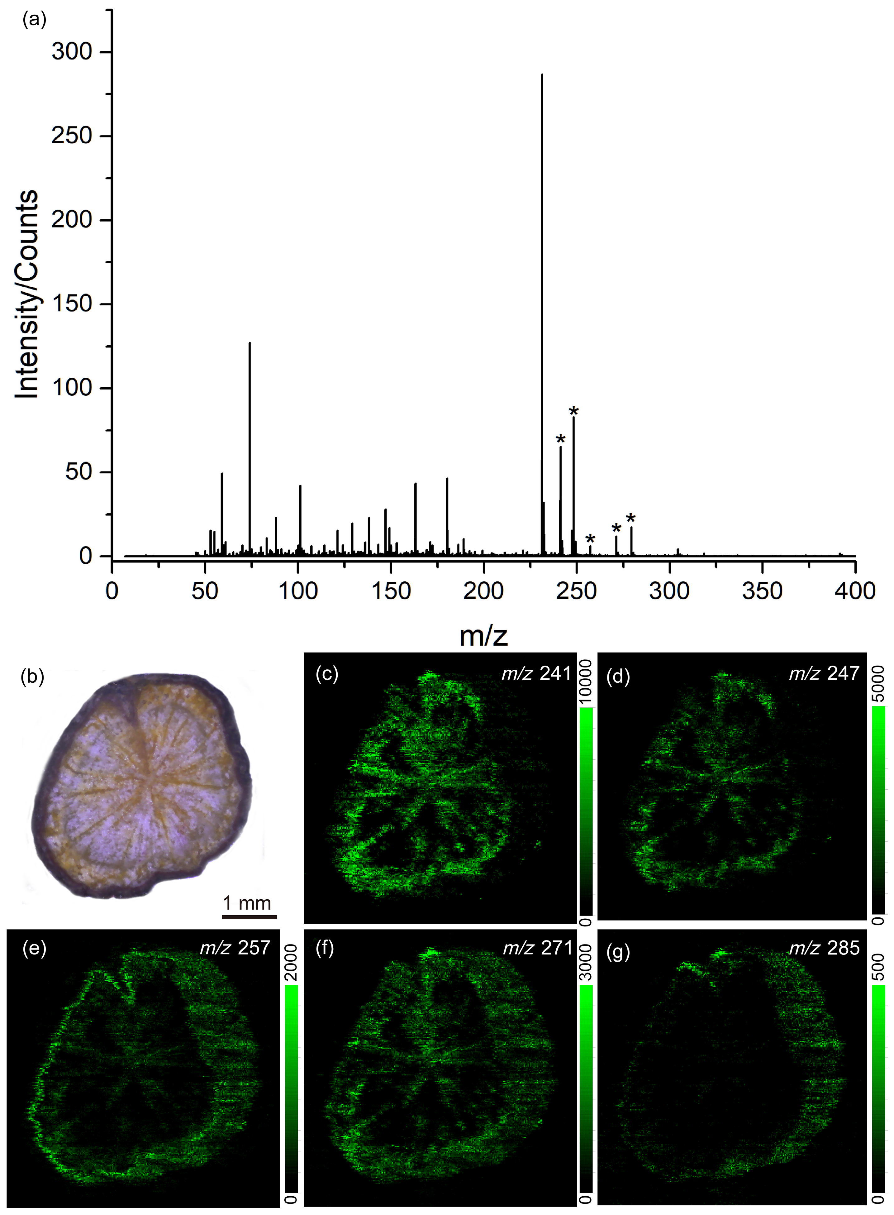 Metabolites 14 00131 g006