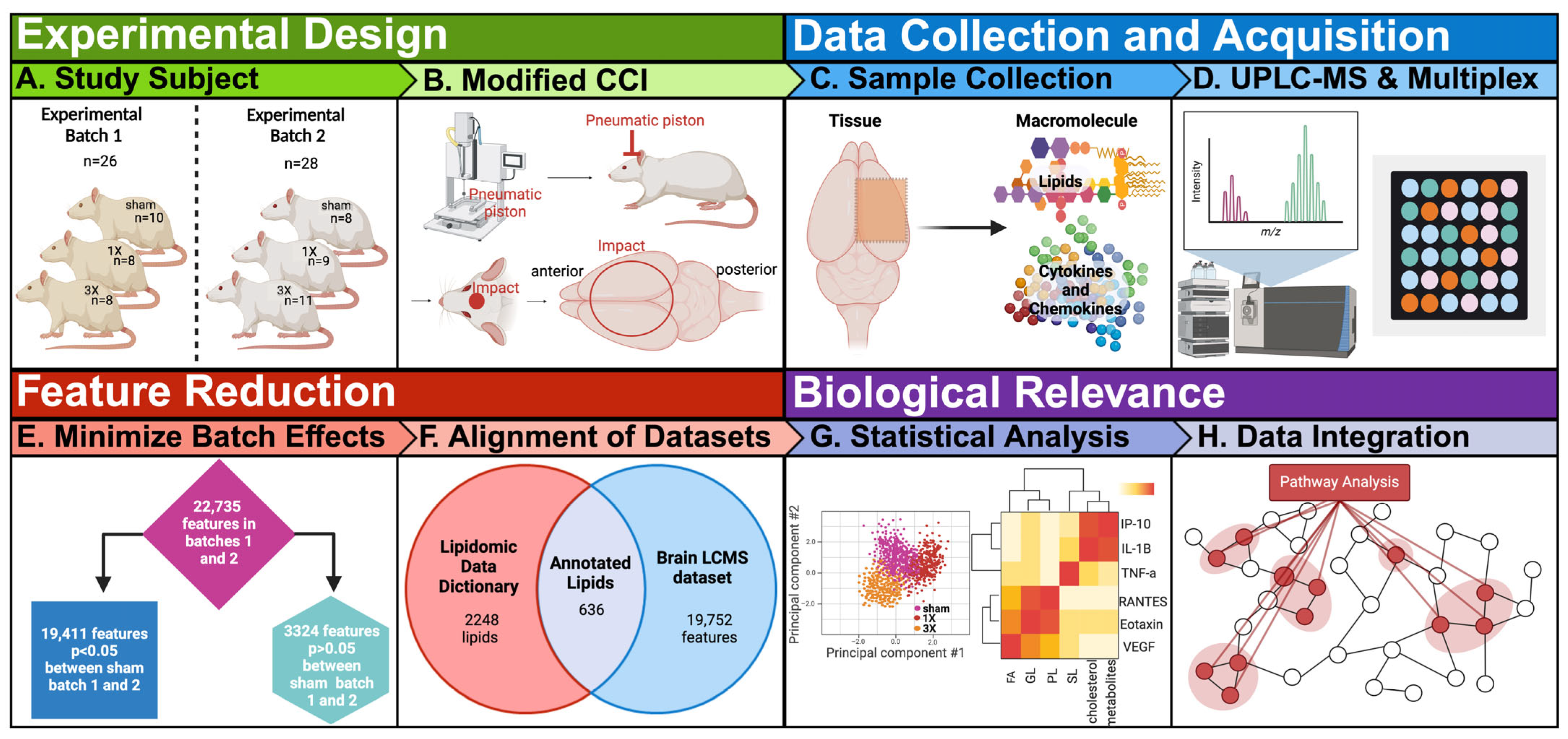 Metabolites 14 00133 g001