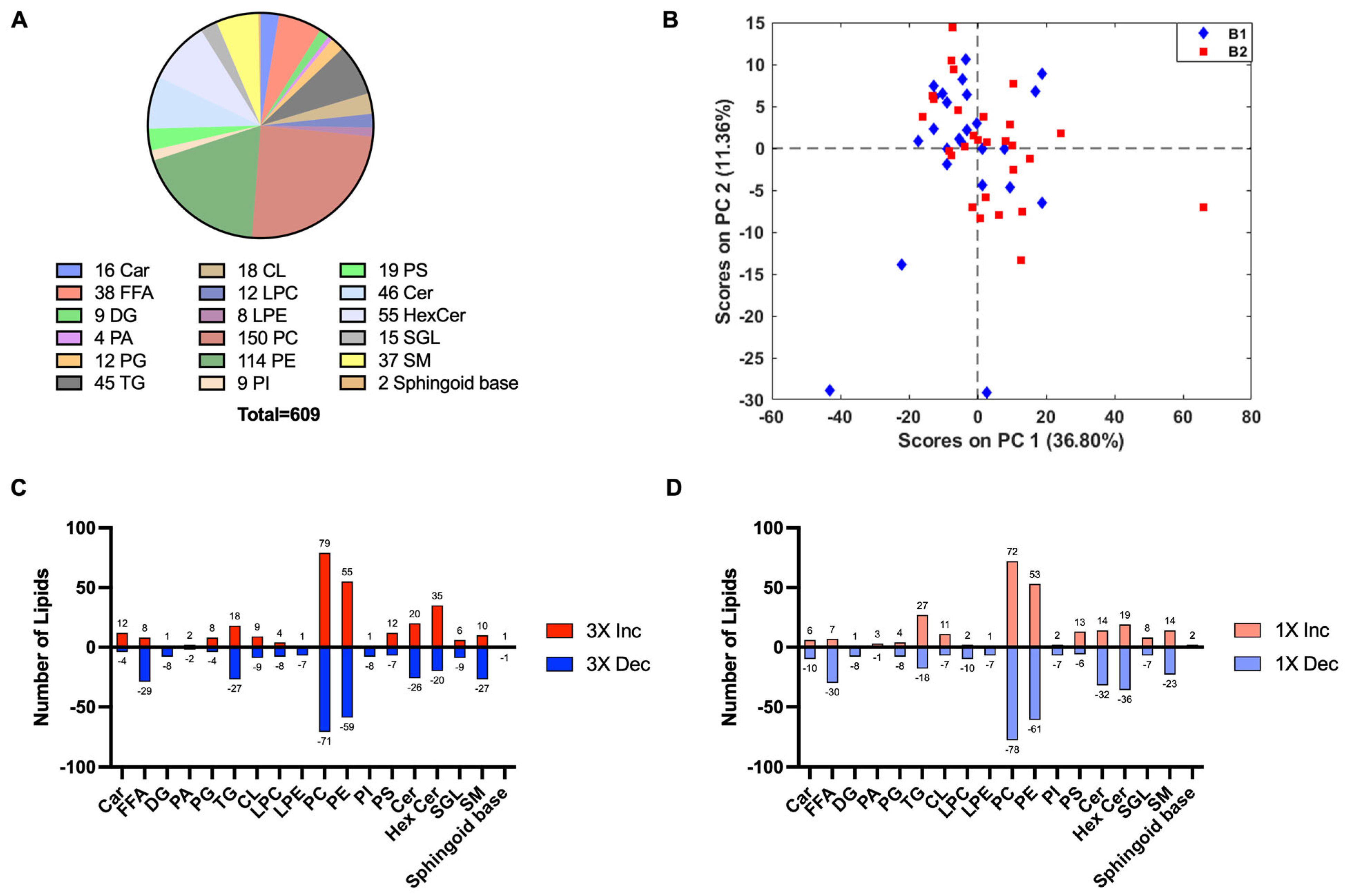 Metabolites 14 00133 g005