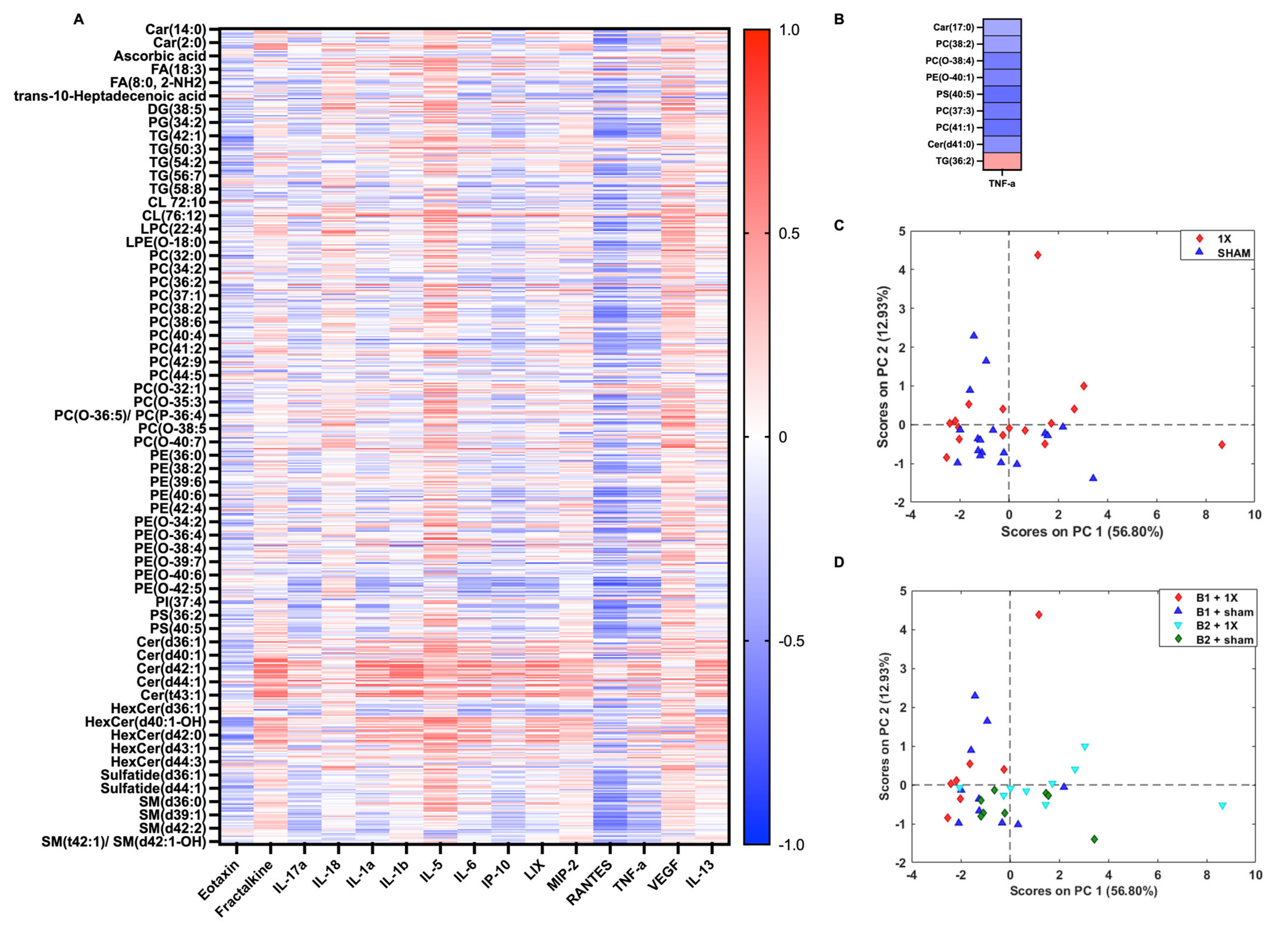 Metabolites 14 00133 g008